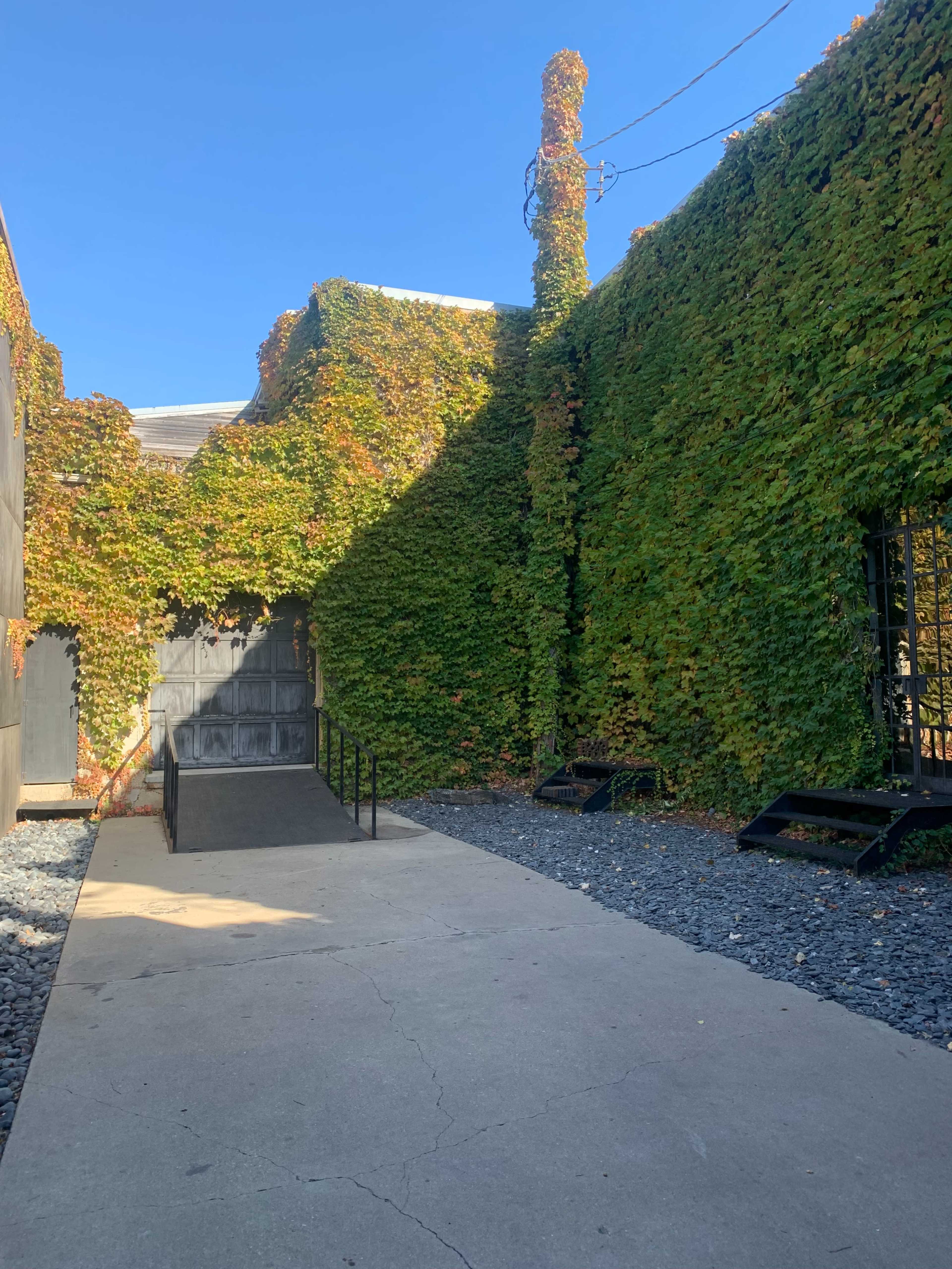 The image shows a narrow pathway leading to a wooden door, surrounded by walls covered in vibrant green ivy, under a clear blue sky.