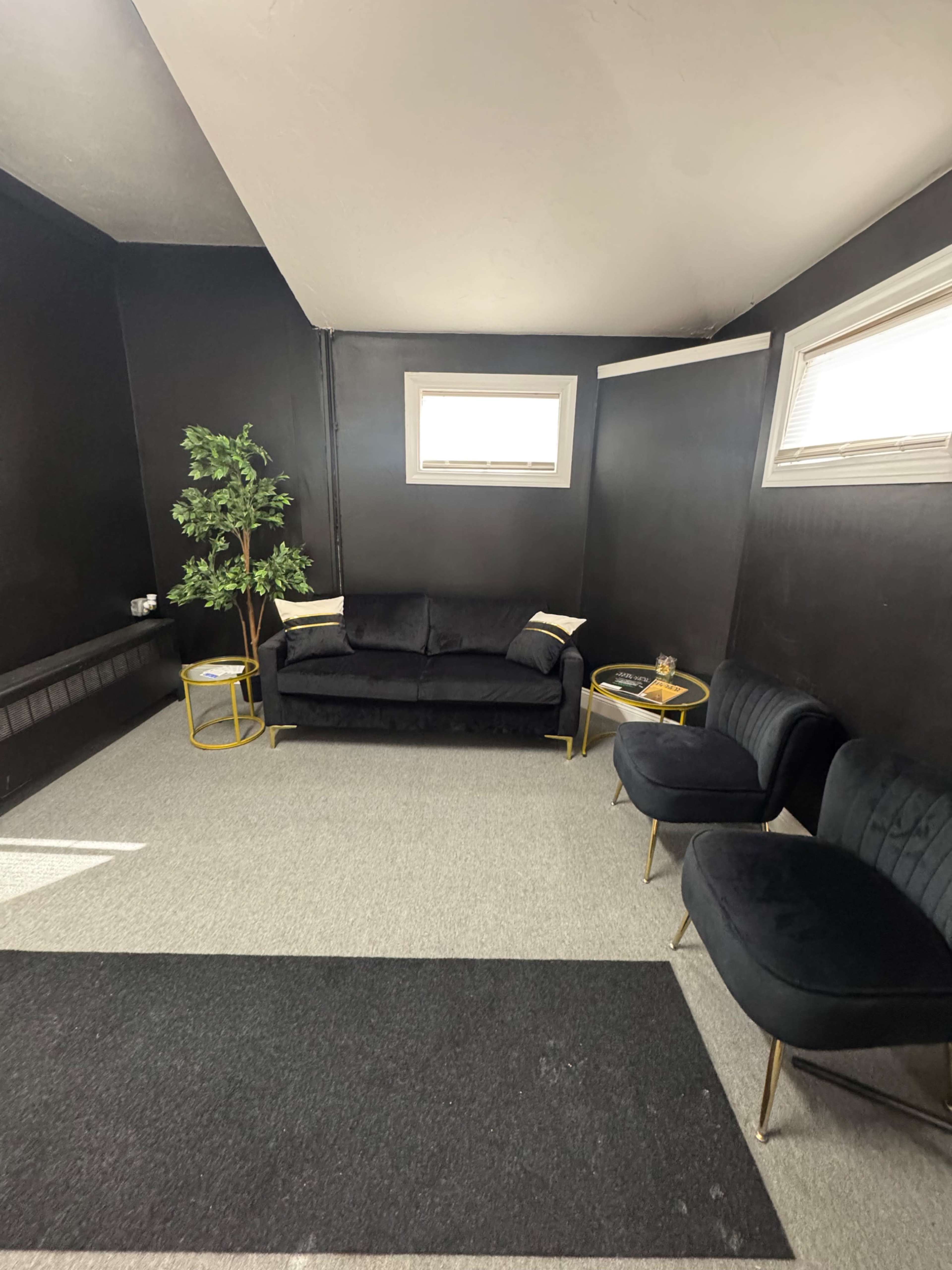 The image shows a small, minimalist room with black walls, a black couch, two black chairs, a small table, and a green plant near the window.