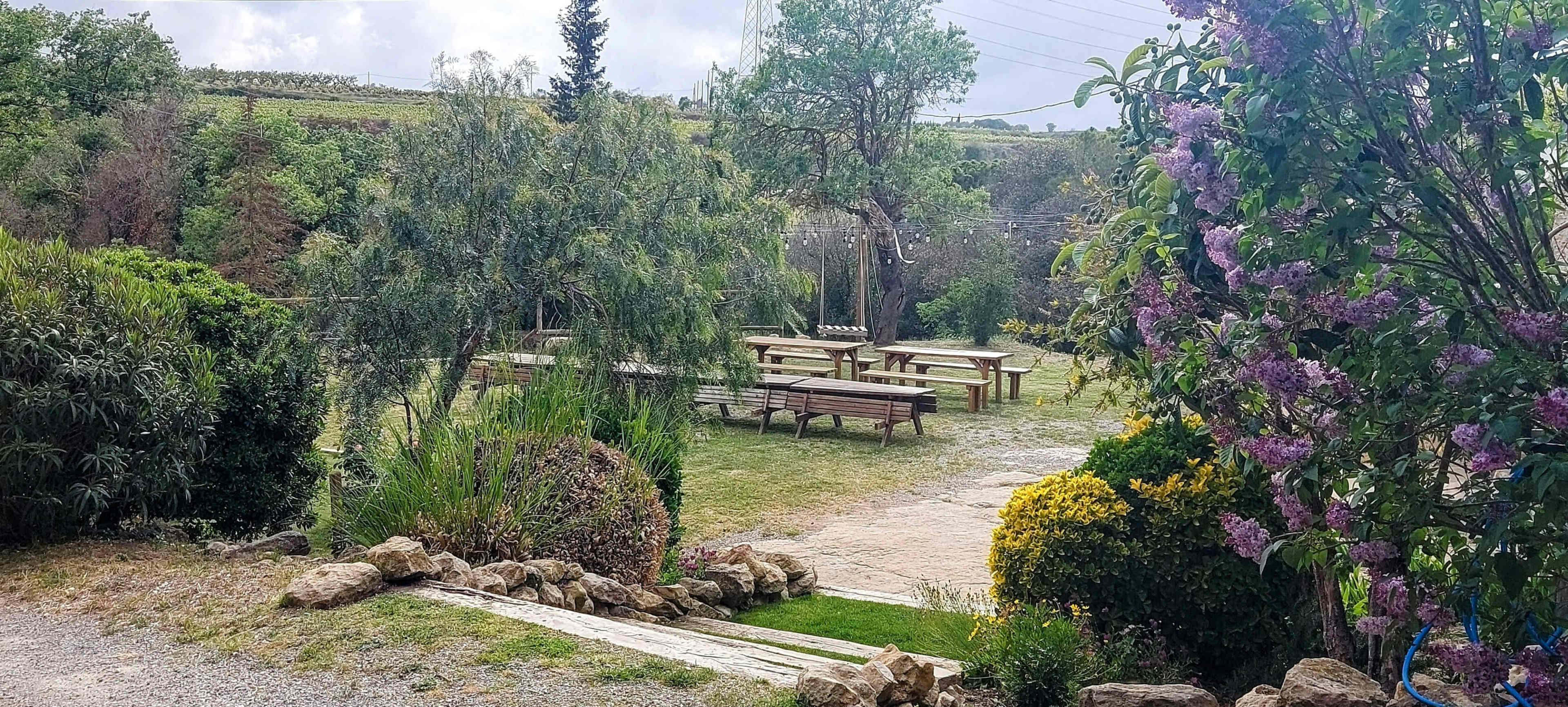 The image shows a landscaped outdoor area with picnic tables, shrubs, and flowering plants surrounded by trees and hills in the background.