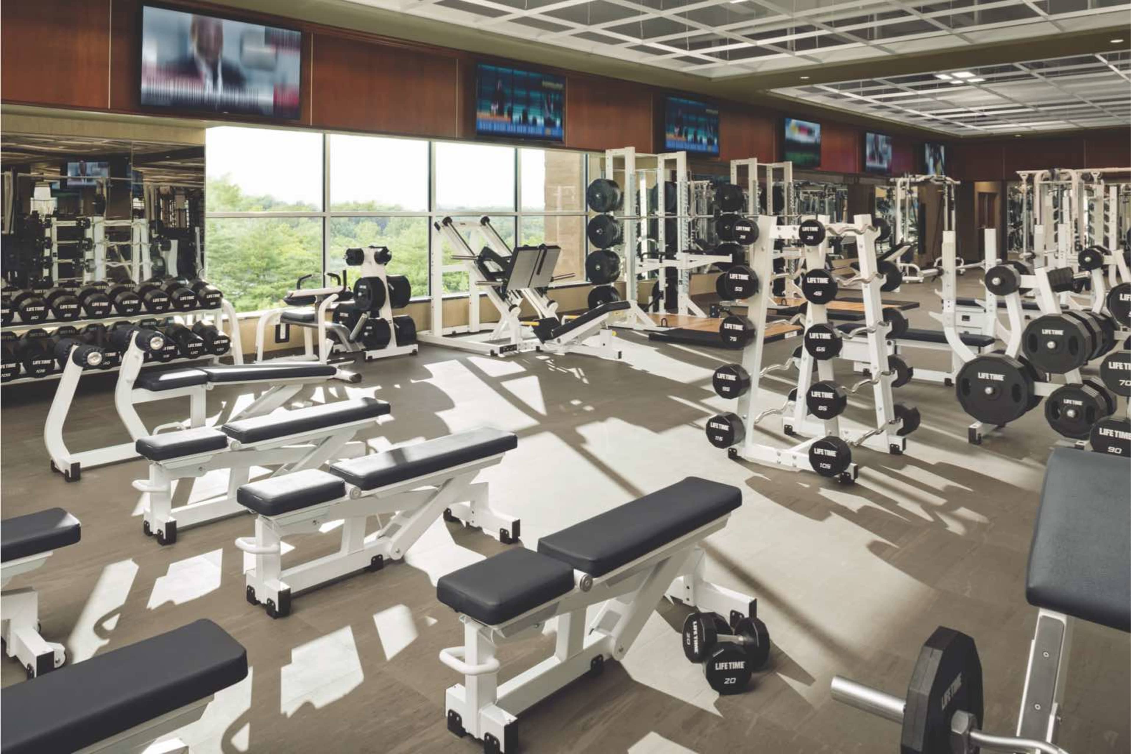 The image shows a well-equipped gym featuring various weightlifting machines and free weights arranged neatly in a spacious, brightly lit area.