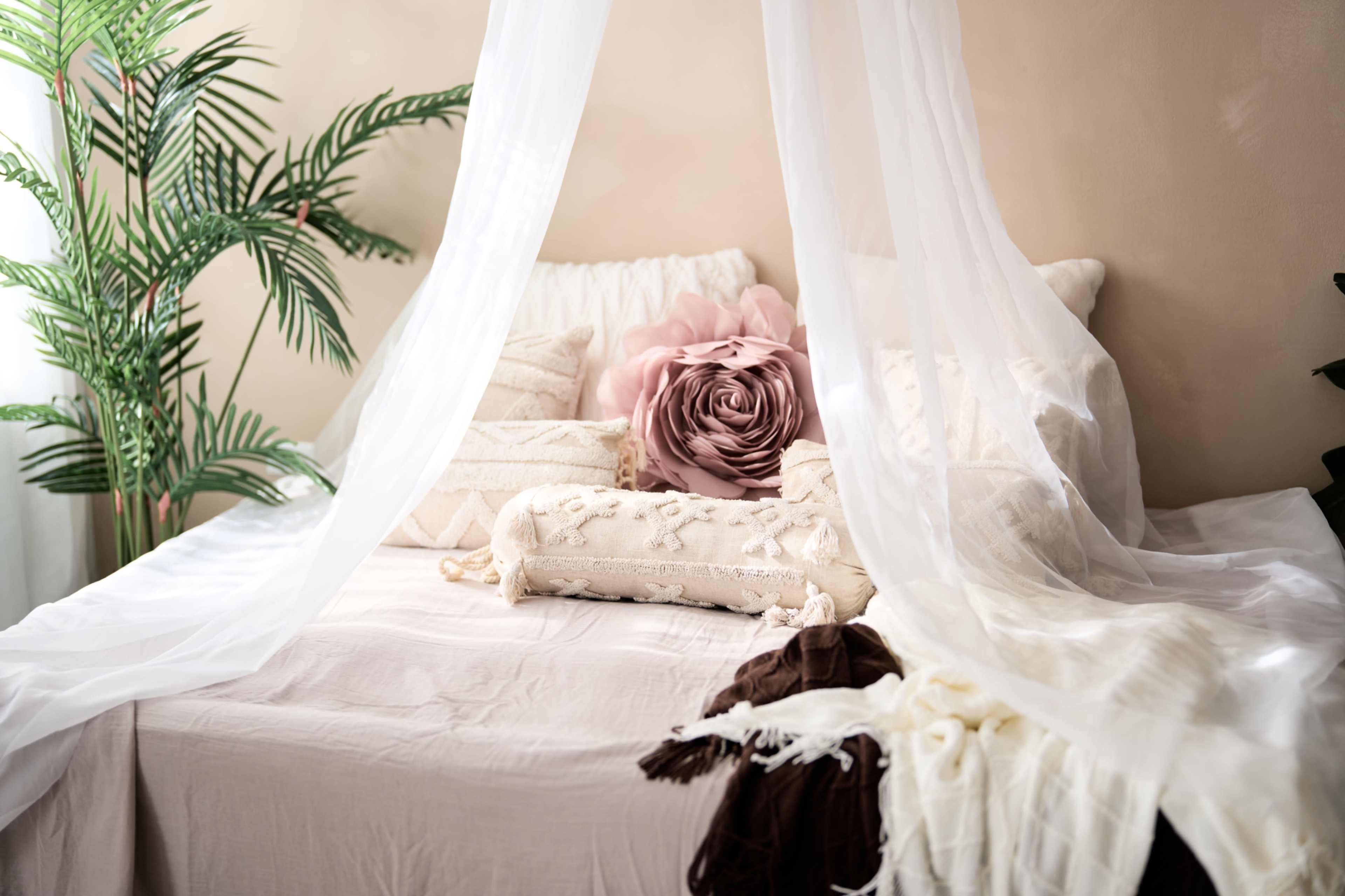 A neatly arranged bed with decorative pillows and a sheer canopy is set against a light-colored wall, complemented by a potted plant.