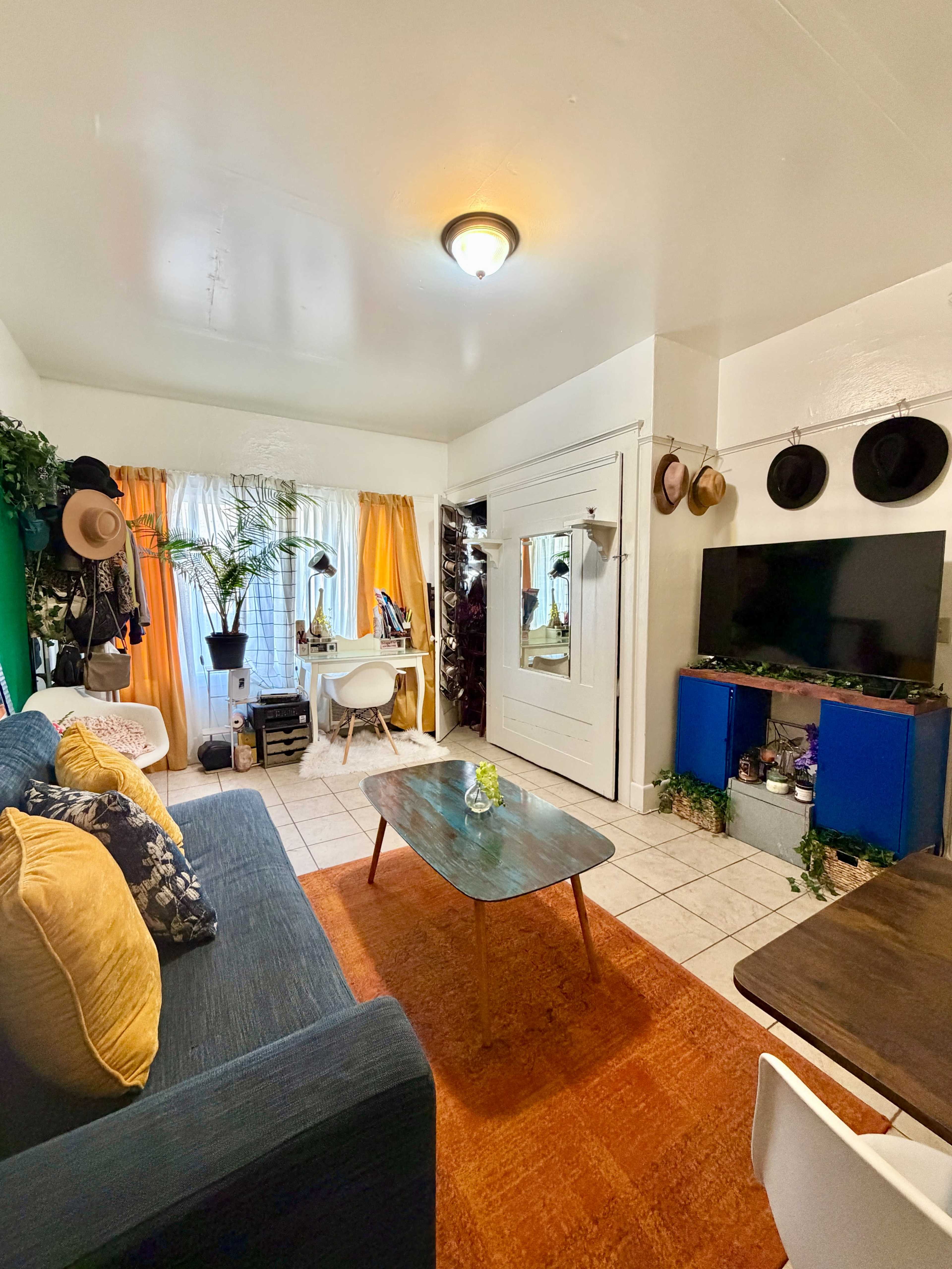 The image shows a small living area with a blue couch, a wooden coffee table, a TV on a stand, and a variety of plants and hats displayed on the walls.