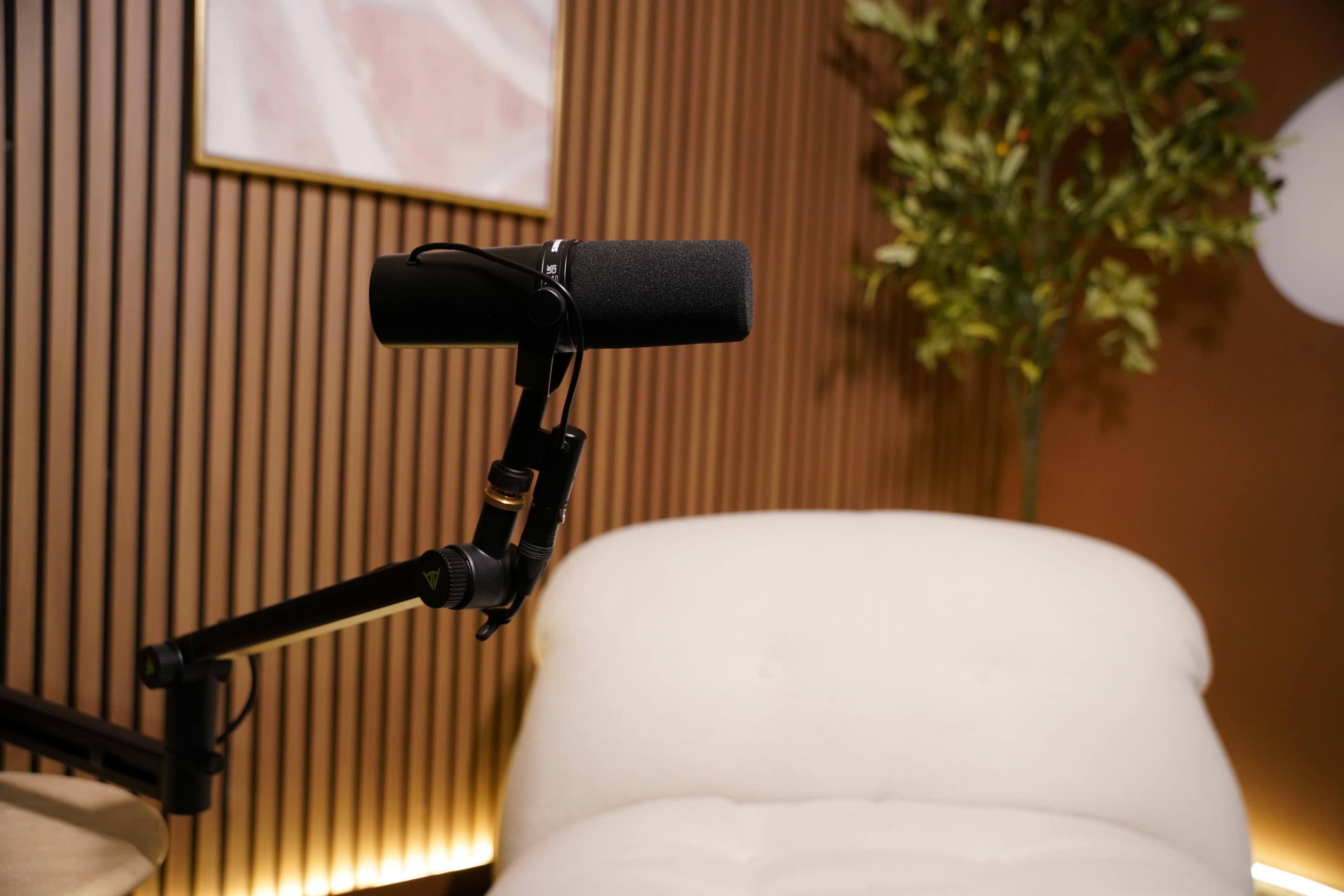 A microphone is mounted on a boom arm beside a light-colored, upholstered chair in a modern interior setting with wooden paneling and a potted plant.
