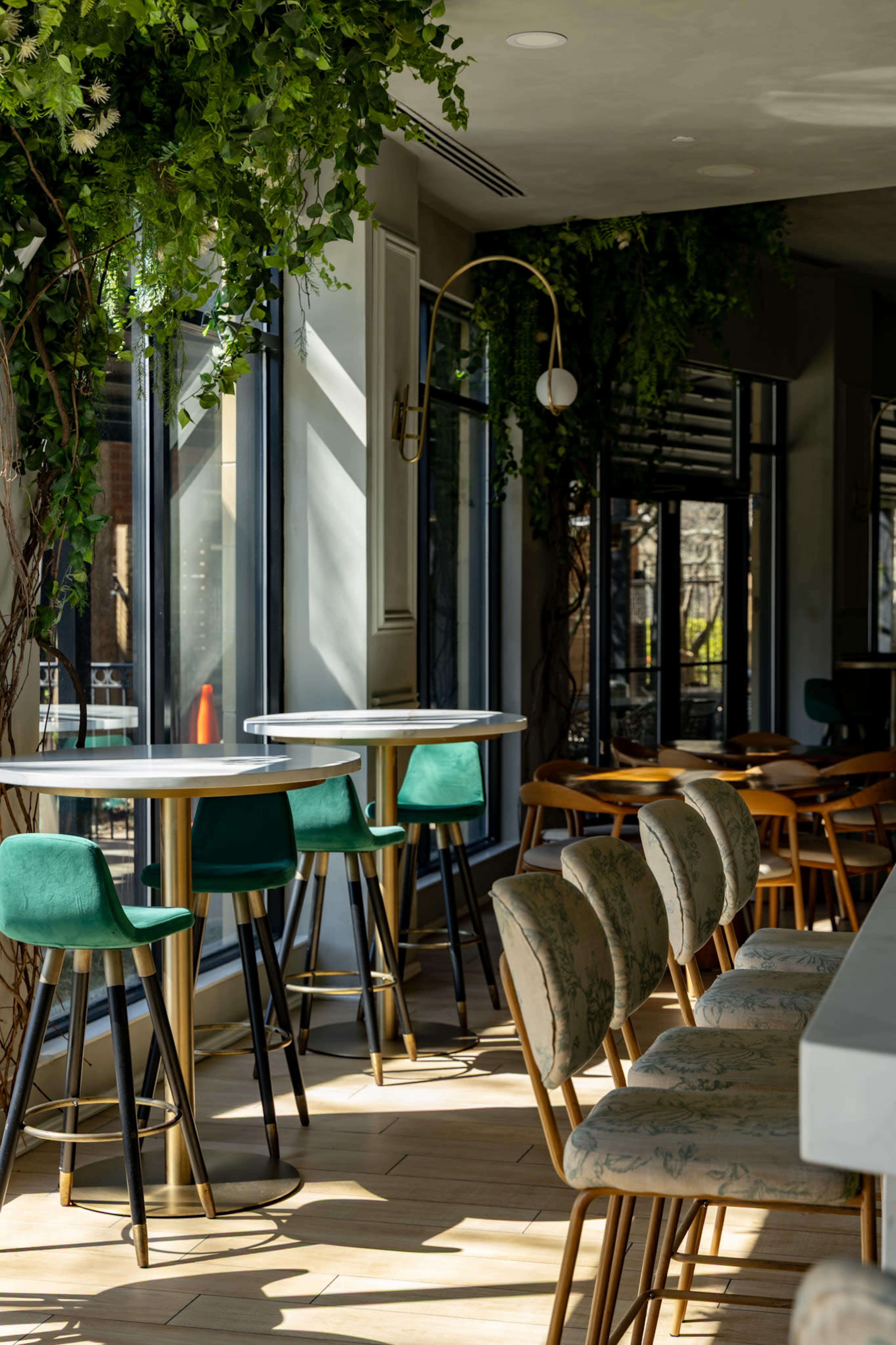 Verdure Kitchen & Cocktails Image in Morningside-Lenox Park, Atlanta, GA