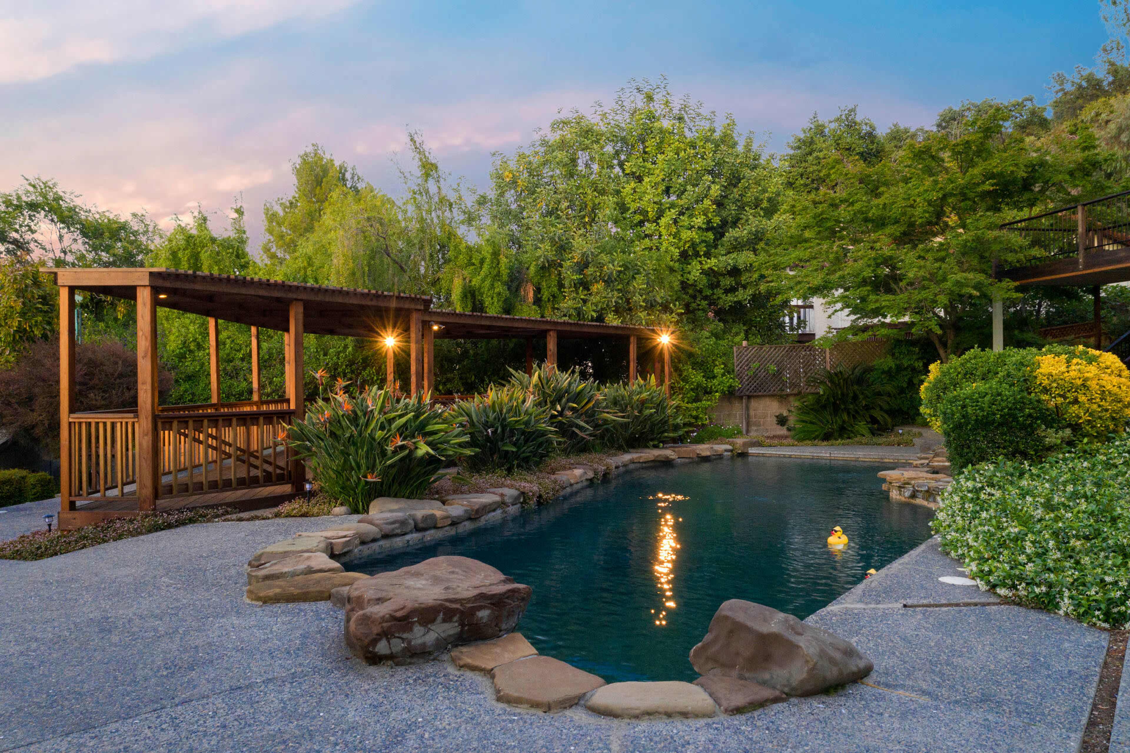 A landscaped backyard featuring a pool surrounded by rocks and plants, with a wooden pergola and a rubber duck floating in the water.