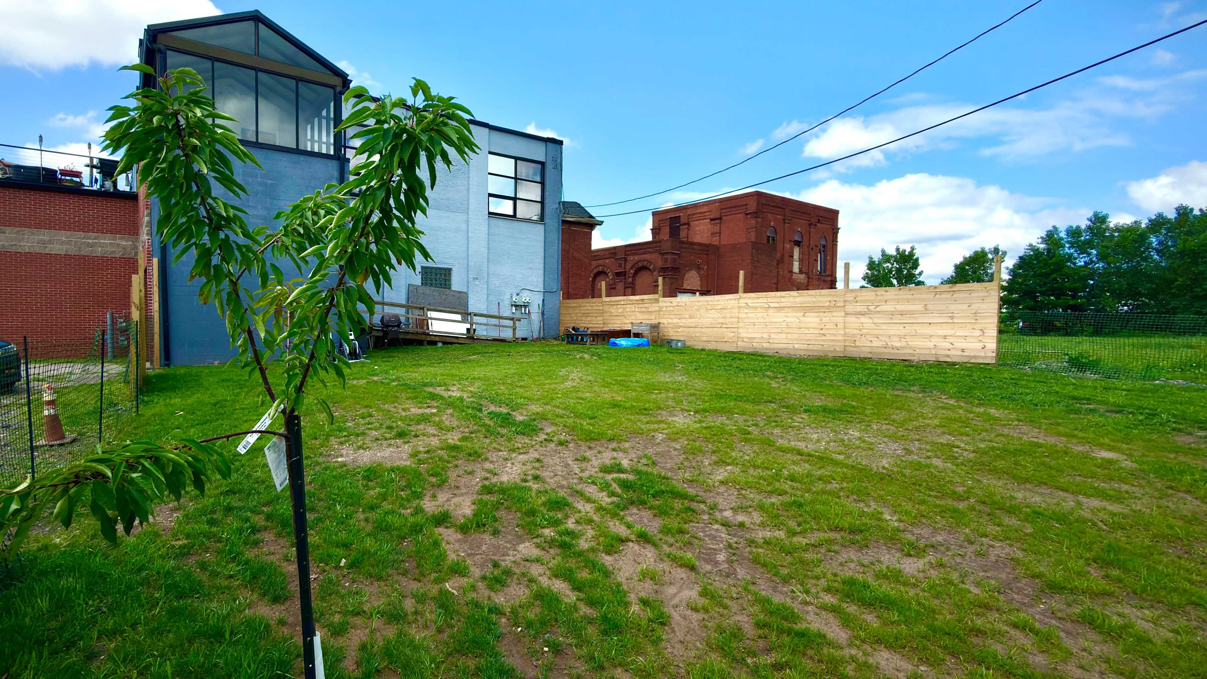The image shows a grassy yard with a newly built wooden fence in the background, adjacent to two distinct buildings: one modern with large windows and another red brick structure.