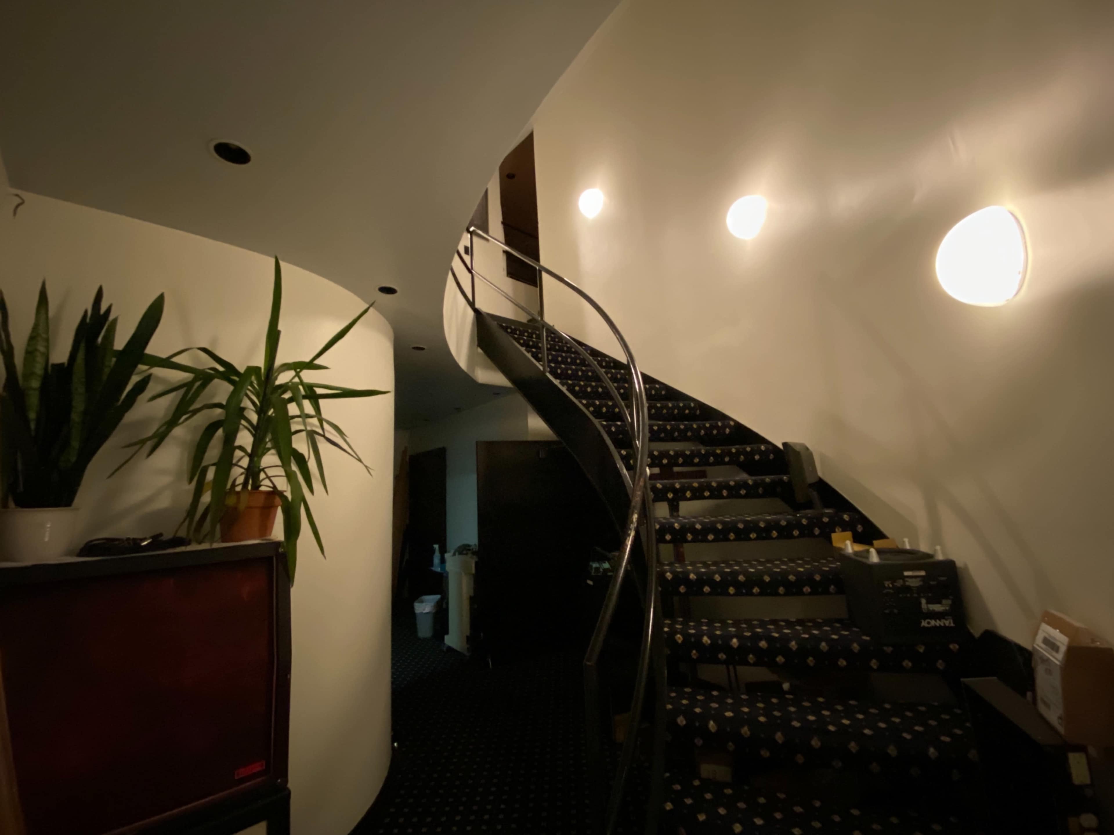 A spiral staircase with carpeted steps leads up a curved wall, illuminated by wall-mounted lights.