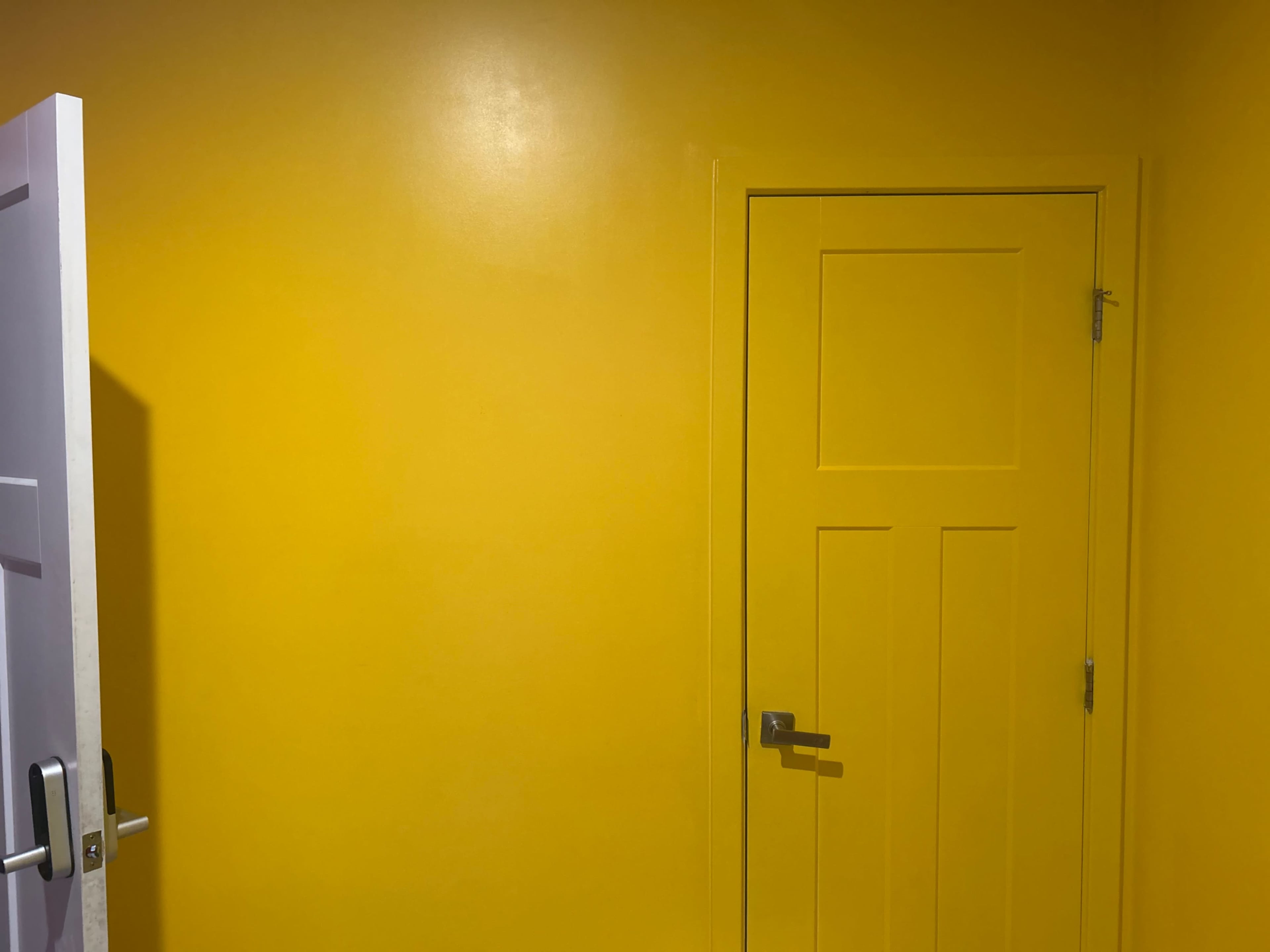 Southside Photography Studio Image in Montclaire South, Charlotte, NC