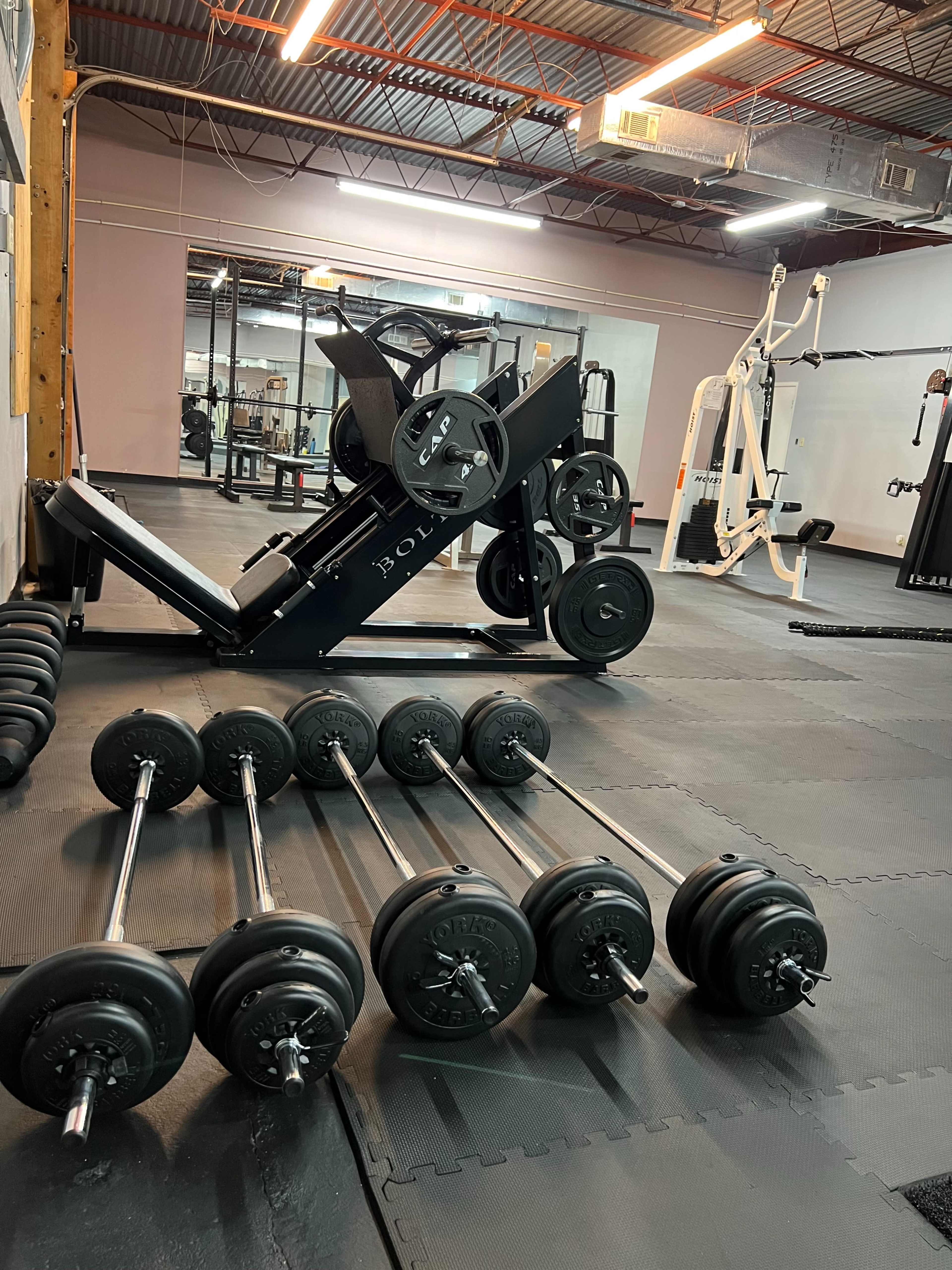A gym interior with a weight bench, free weights arranged on the floor, and various exercise equipment in the background.