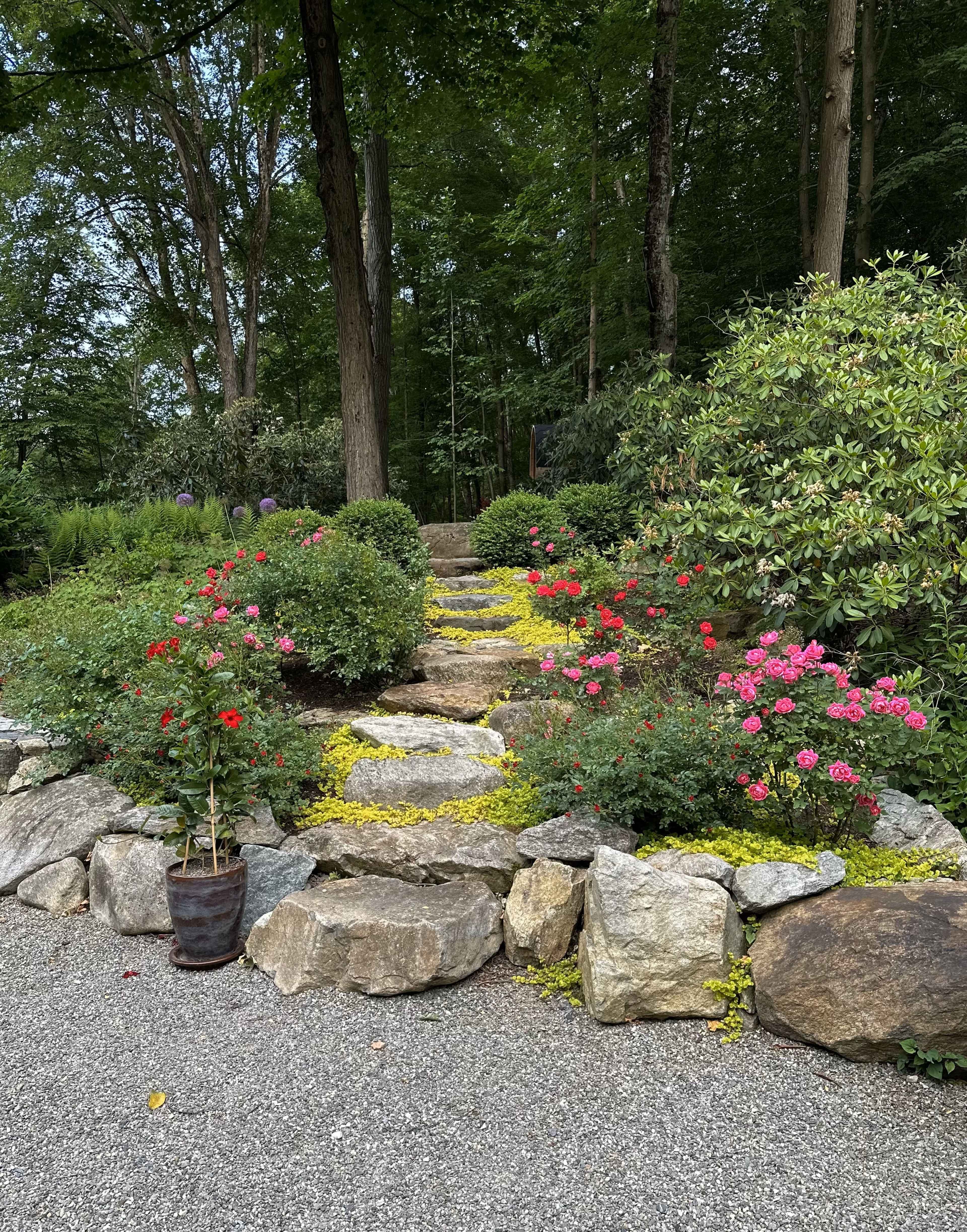 A stone pathway leads through a garden filled with blooming roses and greenery.