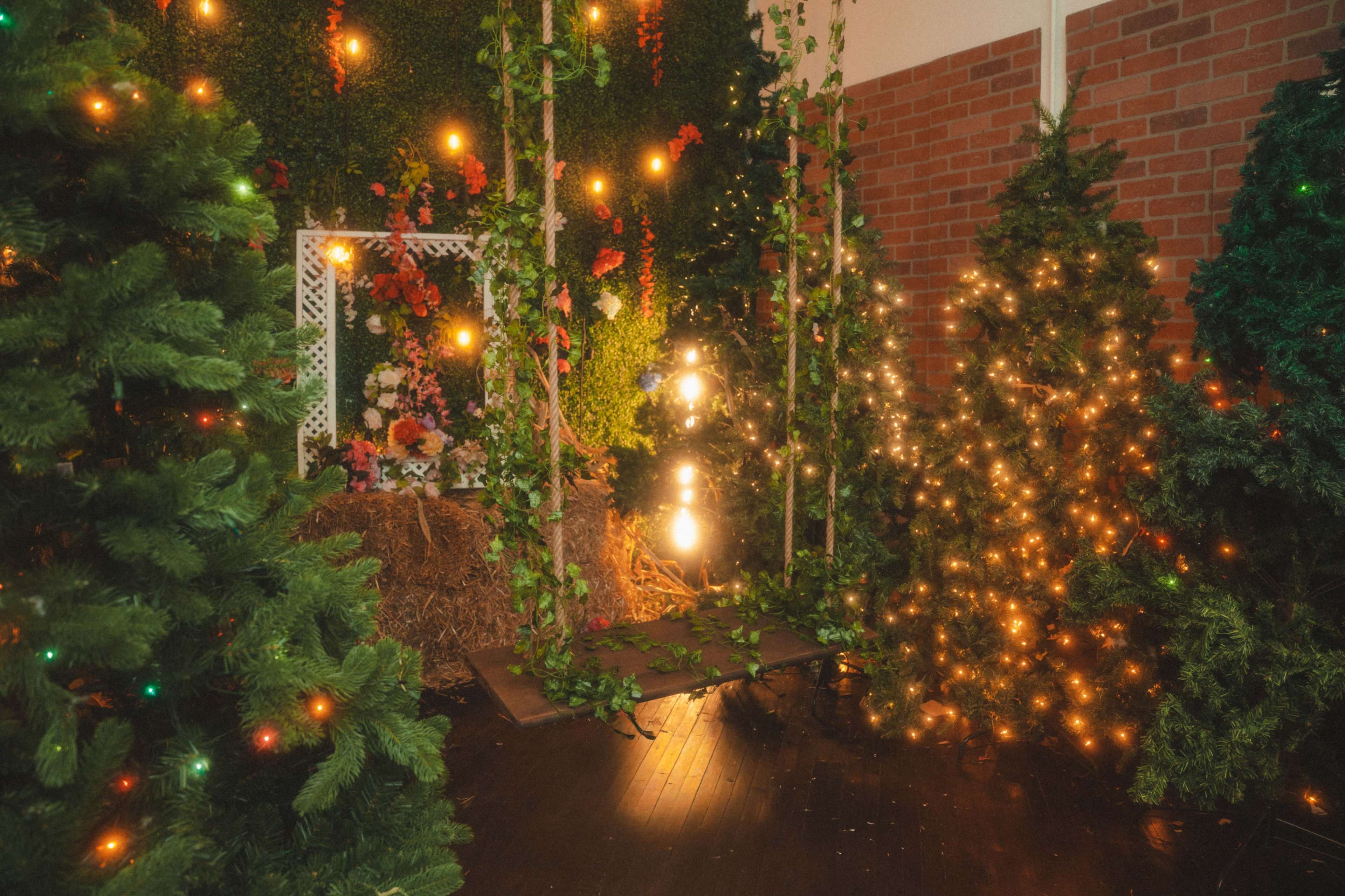 The image shows a festive indoor scene decorated with multiple Christmas trees adorned with lights, surrounded by greenery and floral elements.