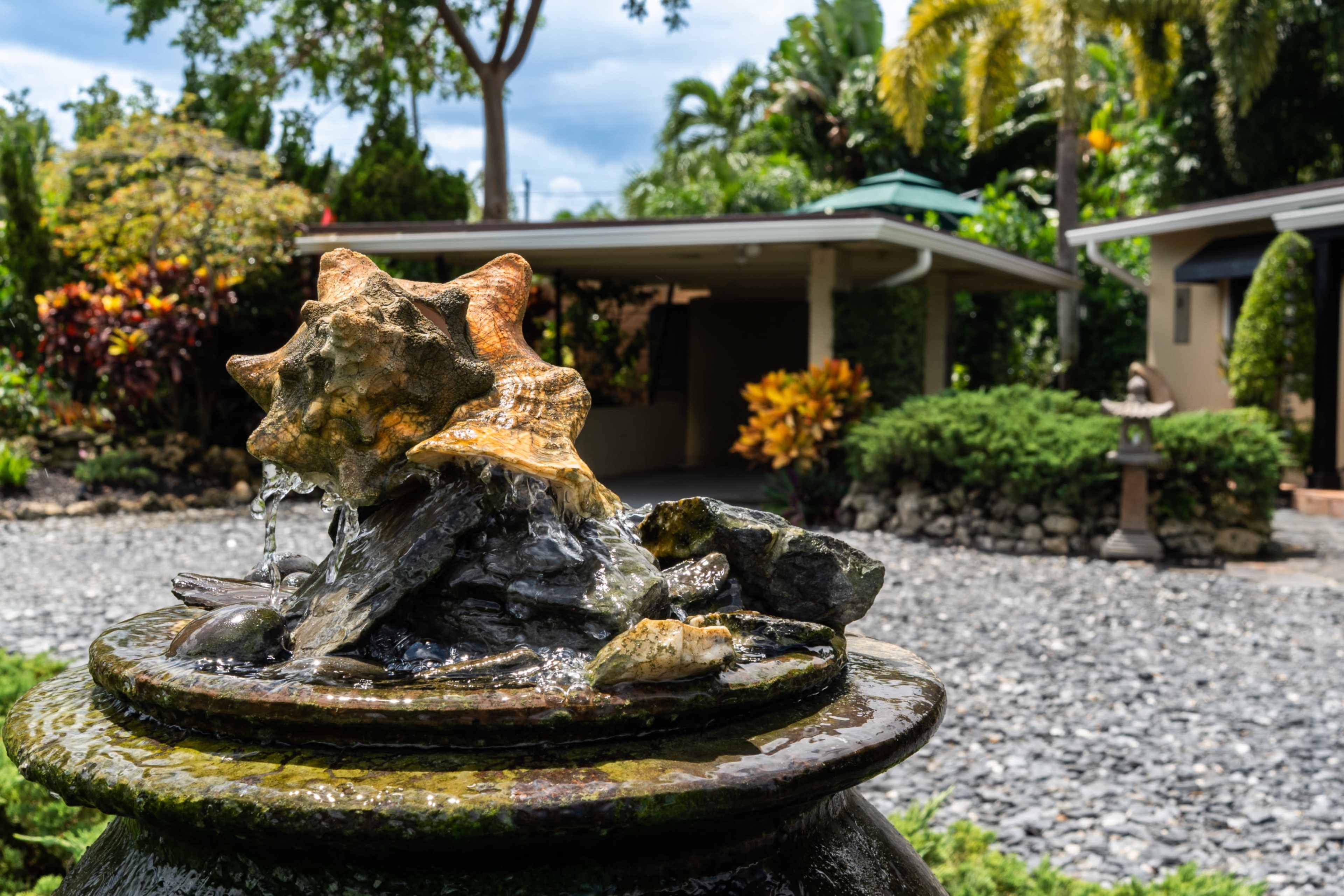 A decorative fountain featuring a large conch shell and flowing water sits in a landscaped garden with tropical plants and trees.