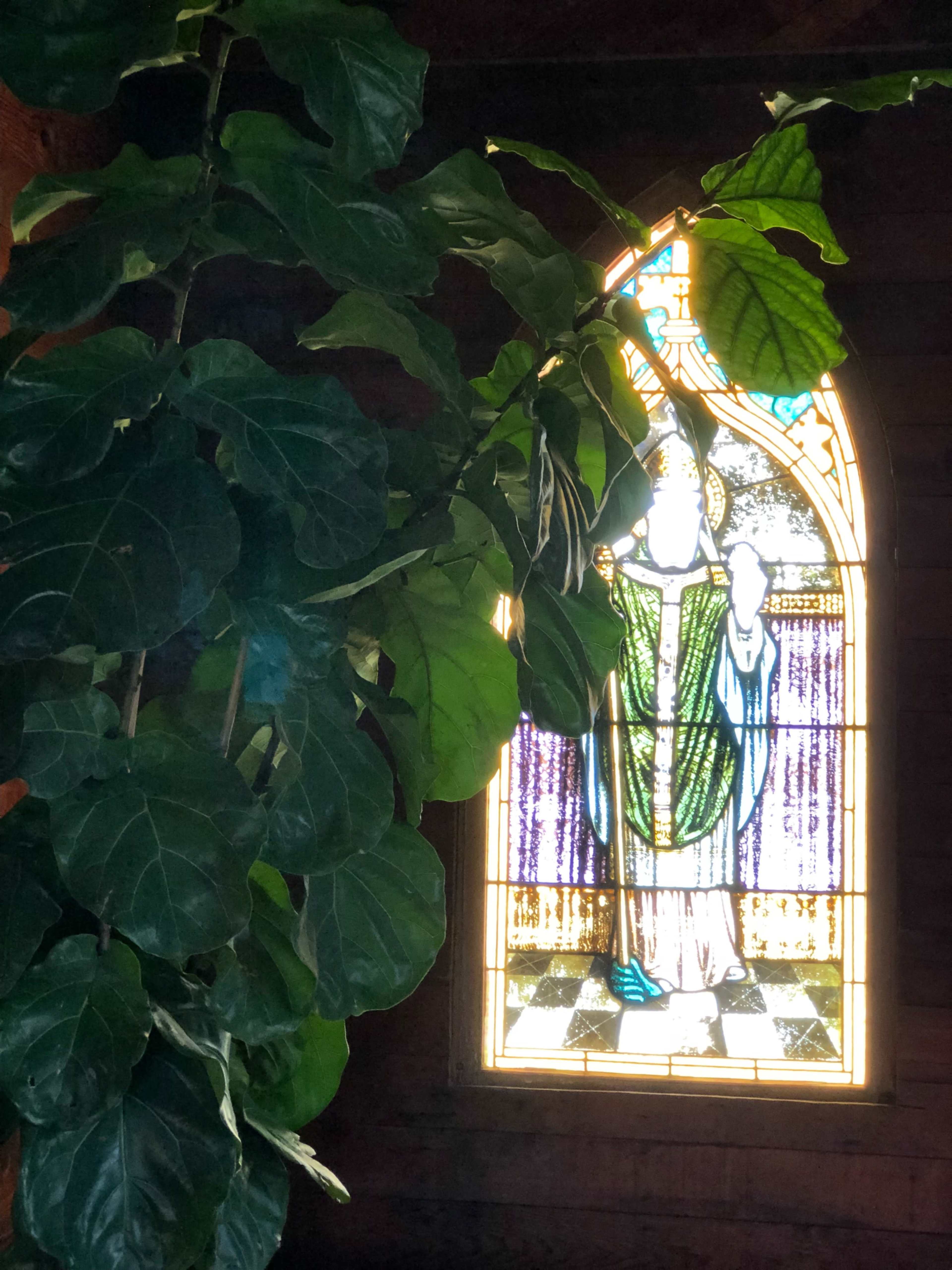 Unique Desert Home with Mountain Views Image in , morongo valley, CA