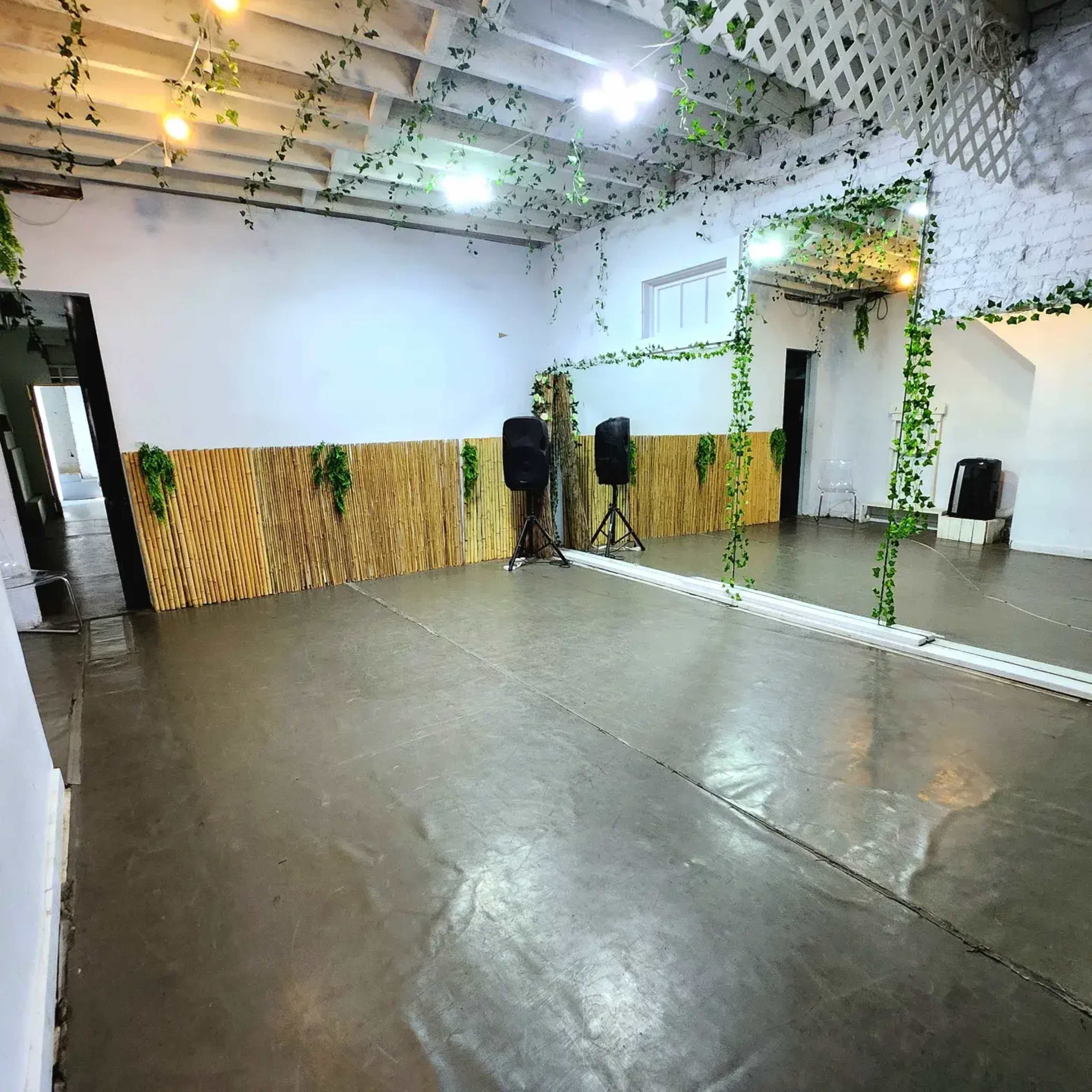 A spacious room with a wooden wall adorned with plants, large mirrors, and speakers positioned on the floor.