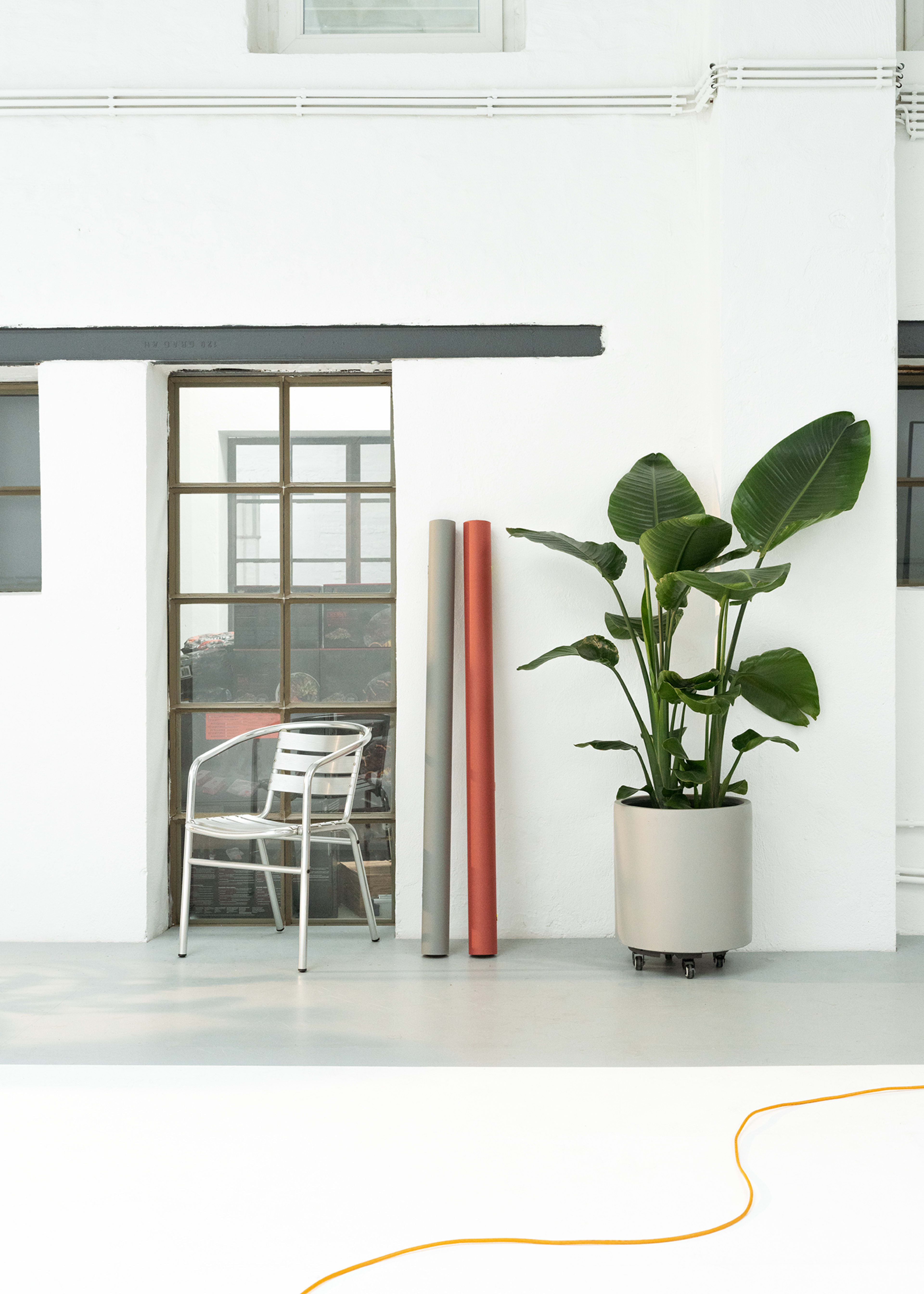 A clear space features a metal chair, three rolls of colored material, and a large potted plant next to a window.