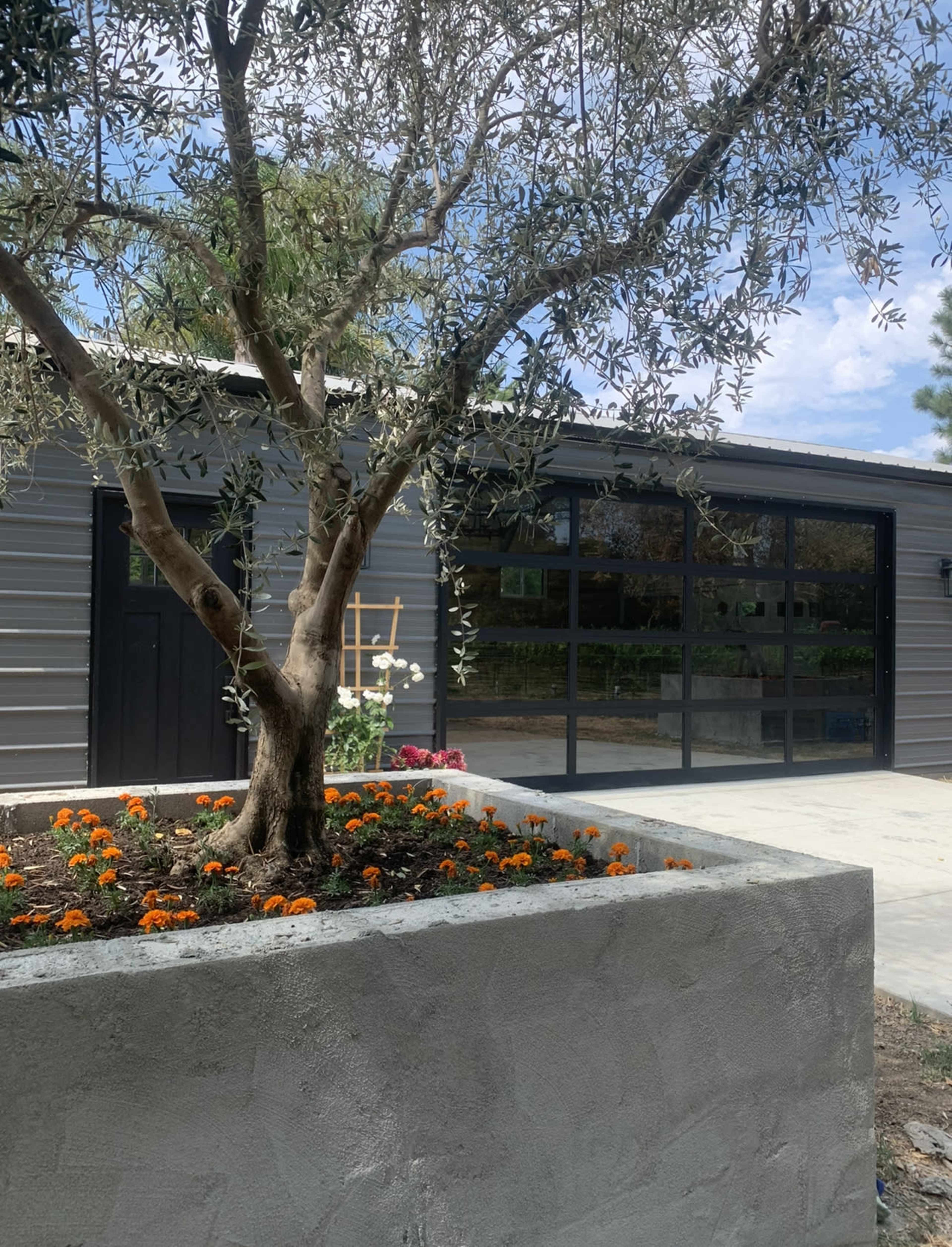 A gray metal building with large glass doors is set behind a flowering garden bed featuring orange marigolds and an olive tree.