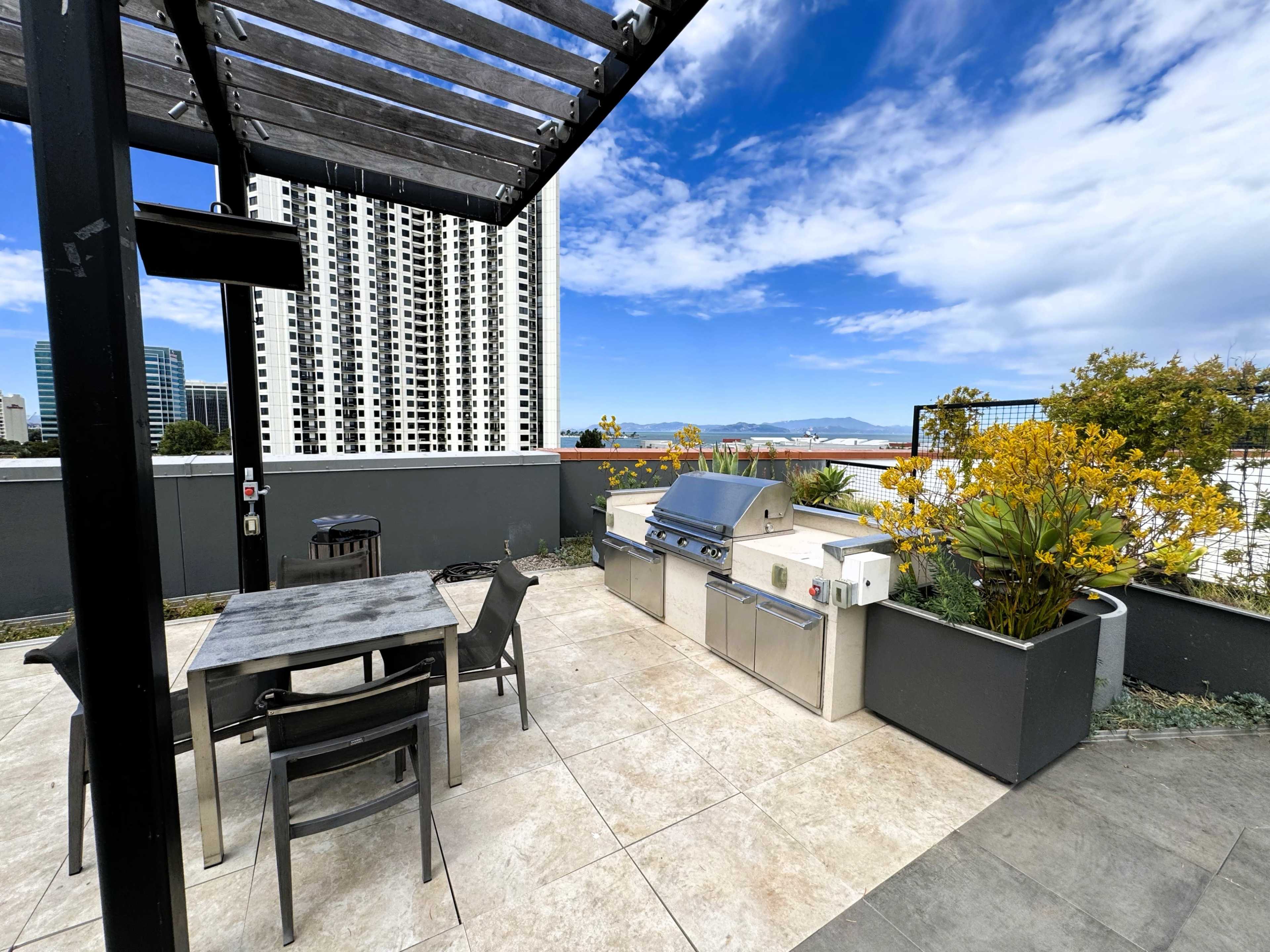 The image shows a rooftop terrace featuring a stainless steel grill, a dining table with chairs, and potted plants, with a city skyline and blue sky in the background.