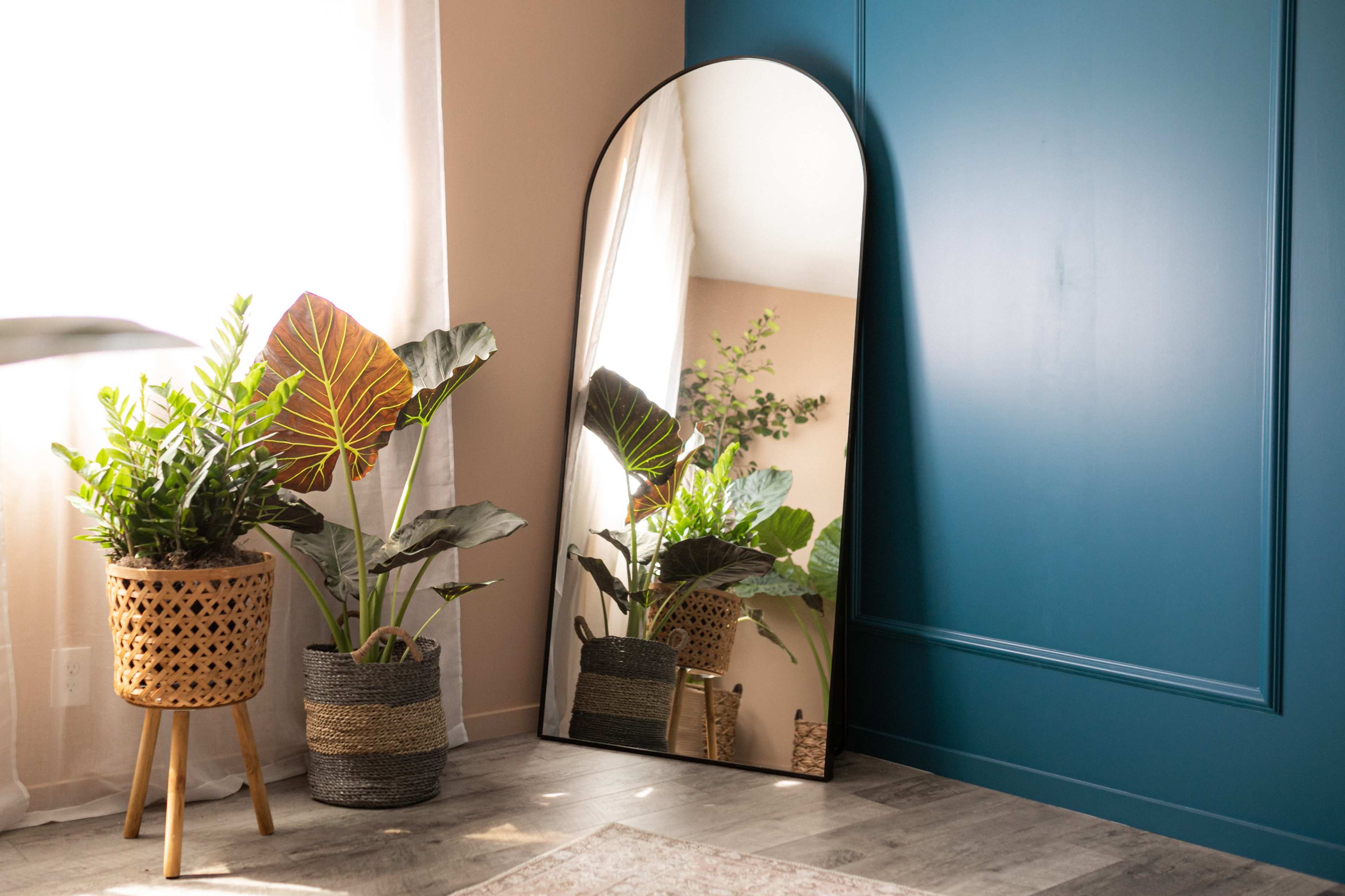 A large, arched mirror leans against a teal wall beside two potted plants on a light-colored floor.
