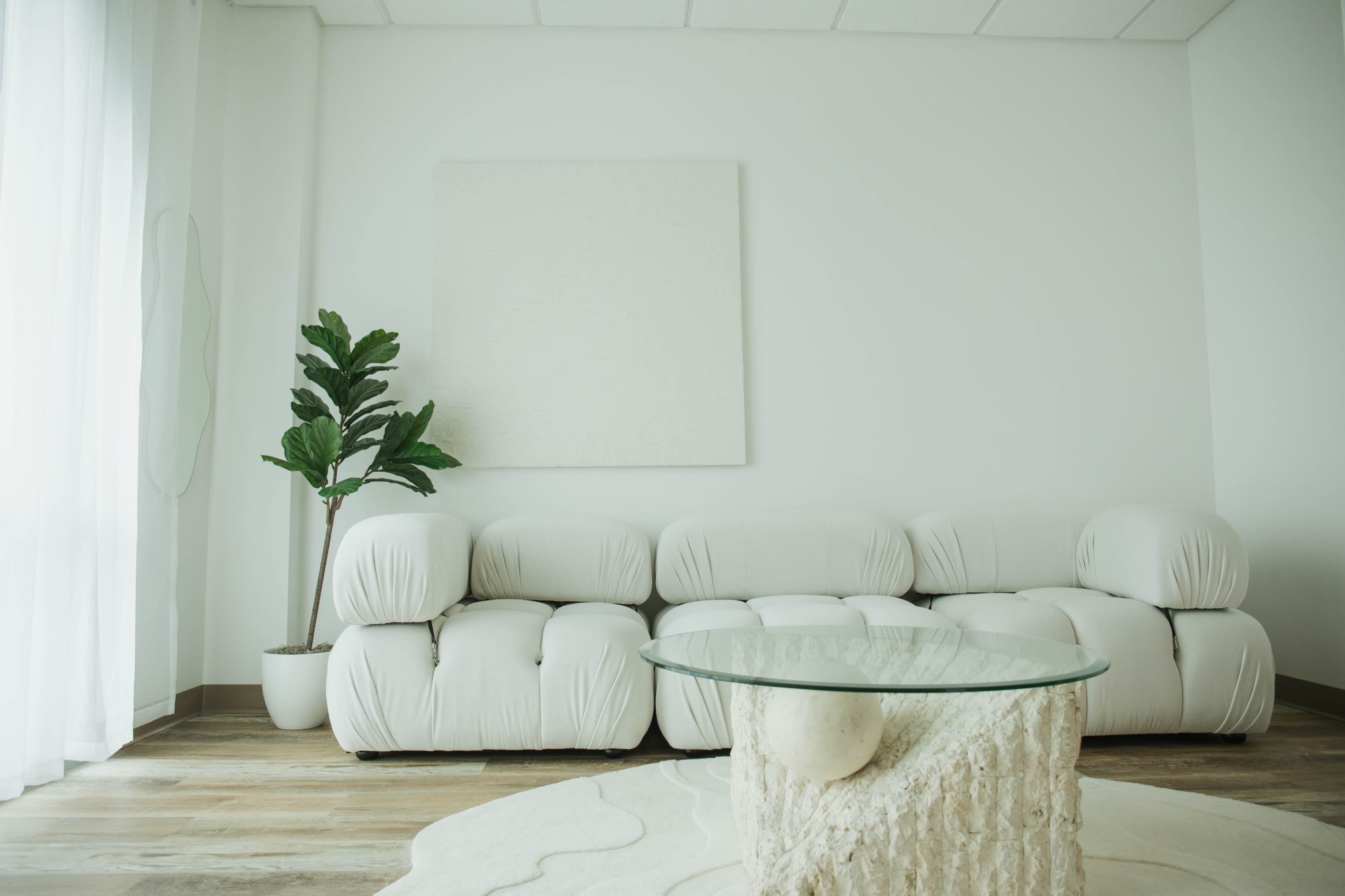 A minimalist living room features a white modular sofa, a glass table, and a potted plant against a light-colored wall.