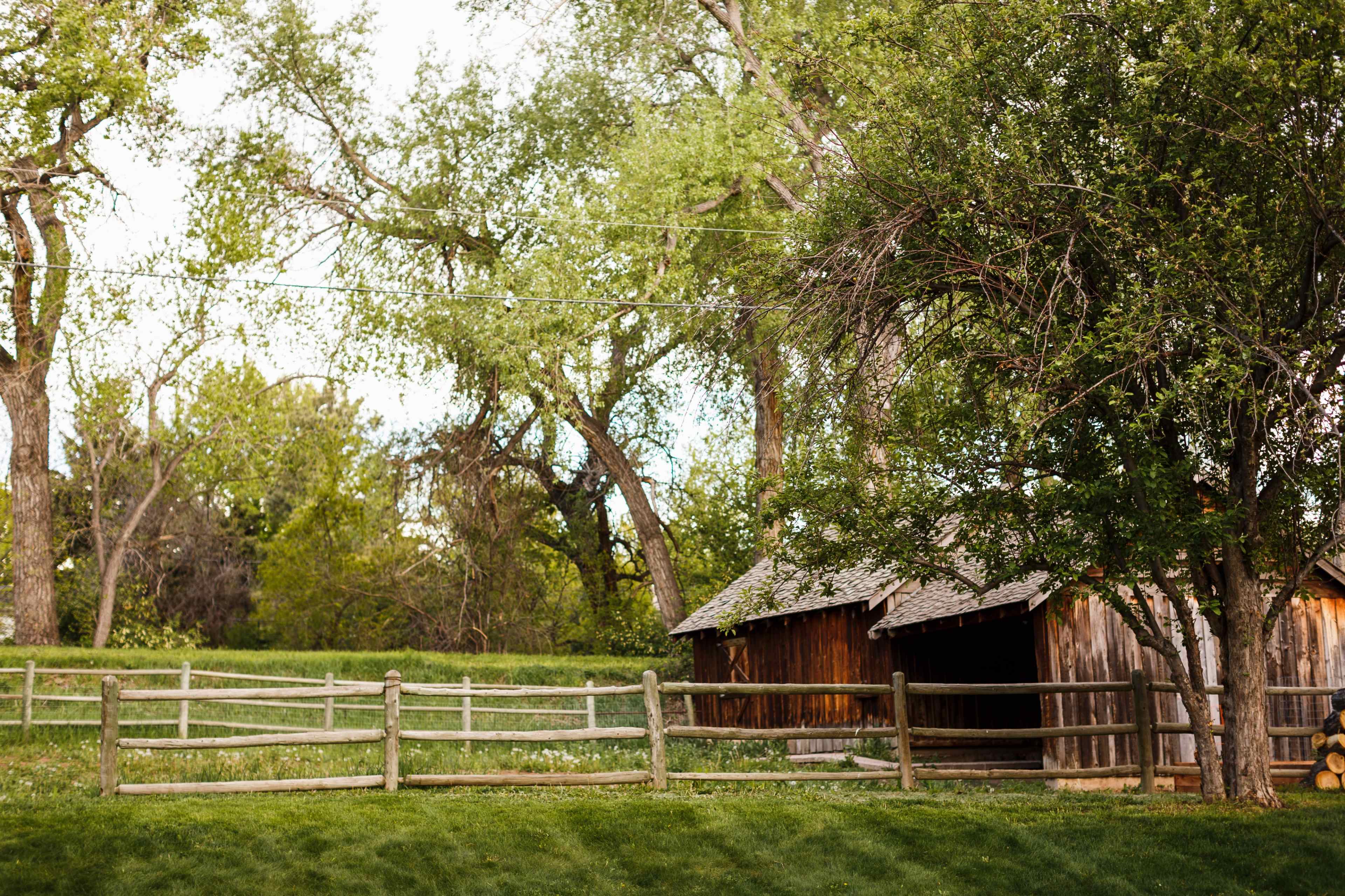 A rustic wooden shed is surrounded by lush green trees and a wooden fence.