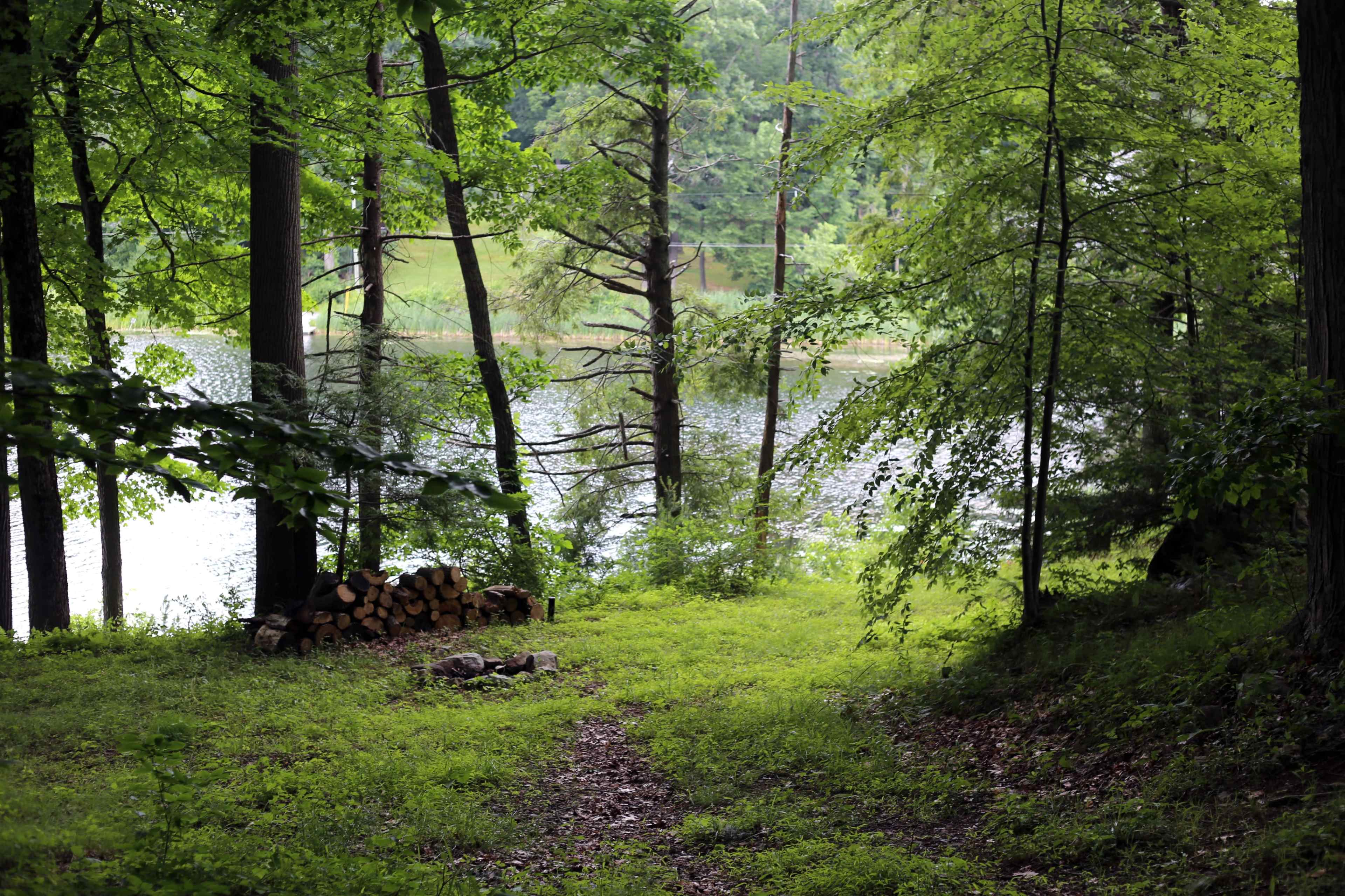 A narrow trail leads through trees to a lake, with a stack of firewood nearby.