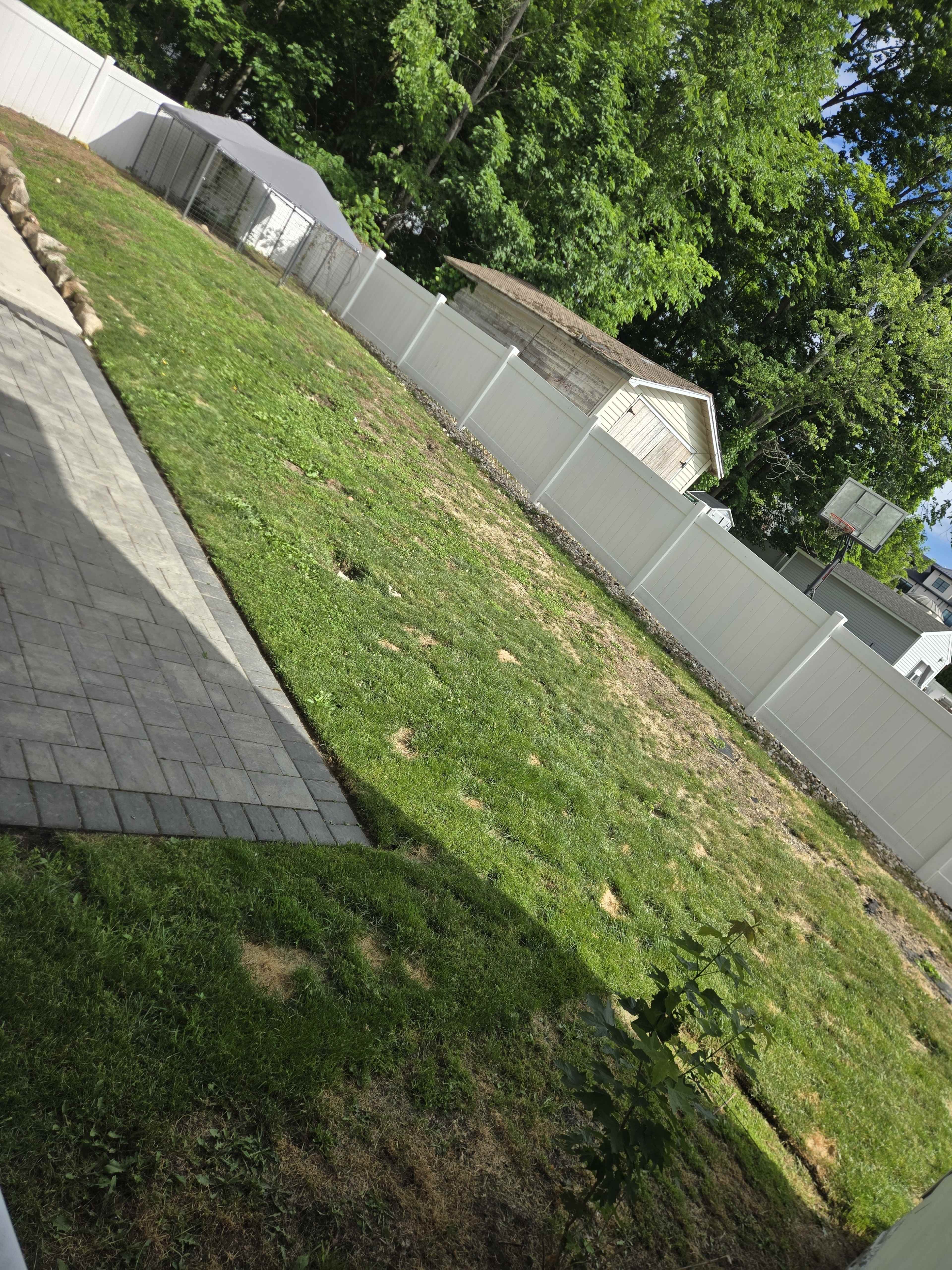 The image shows a grassy backyard with a stone patio and a fence surrounding the area, along with a structure in the background.