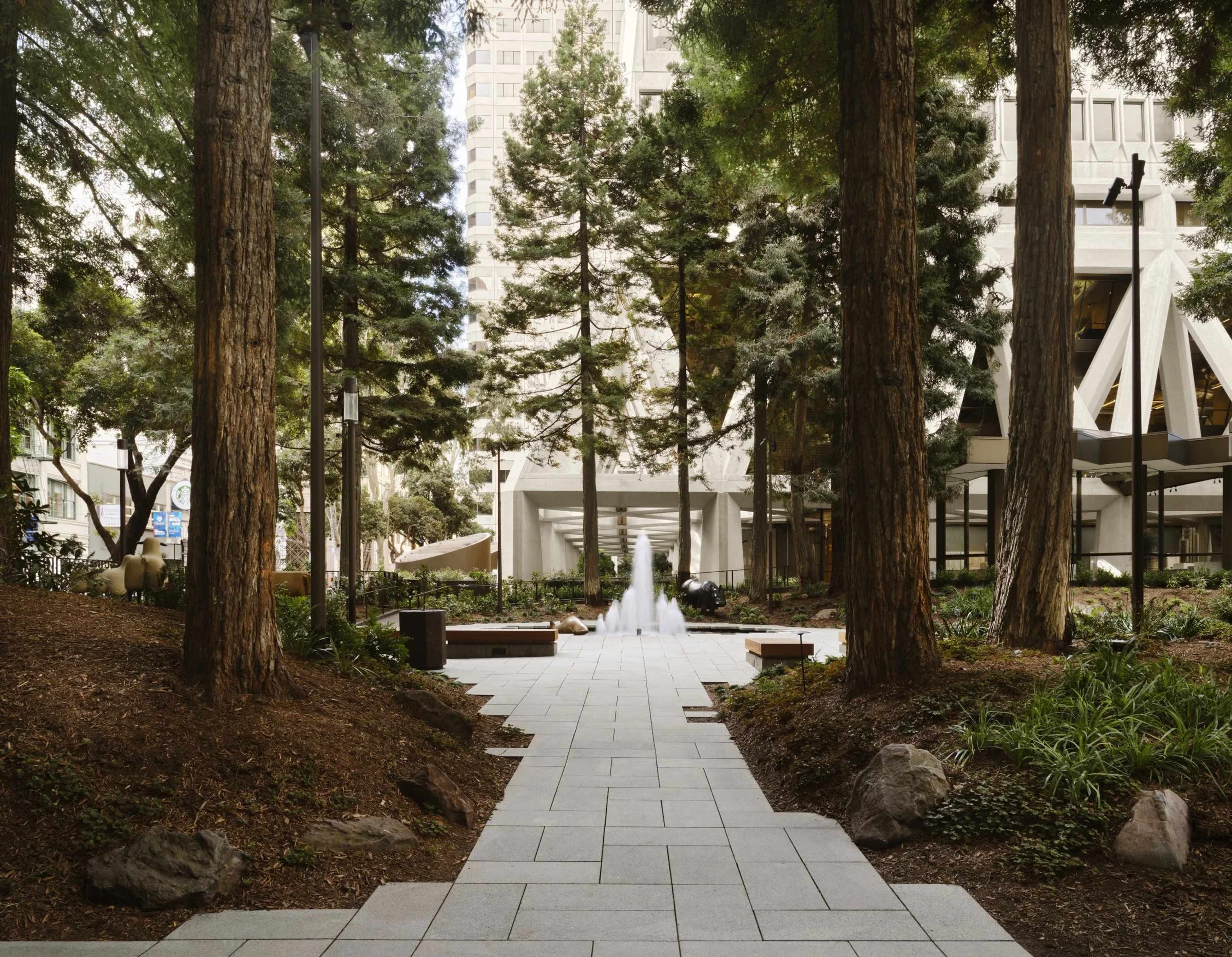 A stone pathway winds through a lush grove of tall trees, leading to a fountain at the far end of the landscaped area.