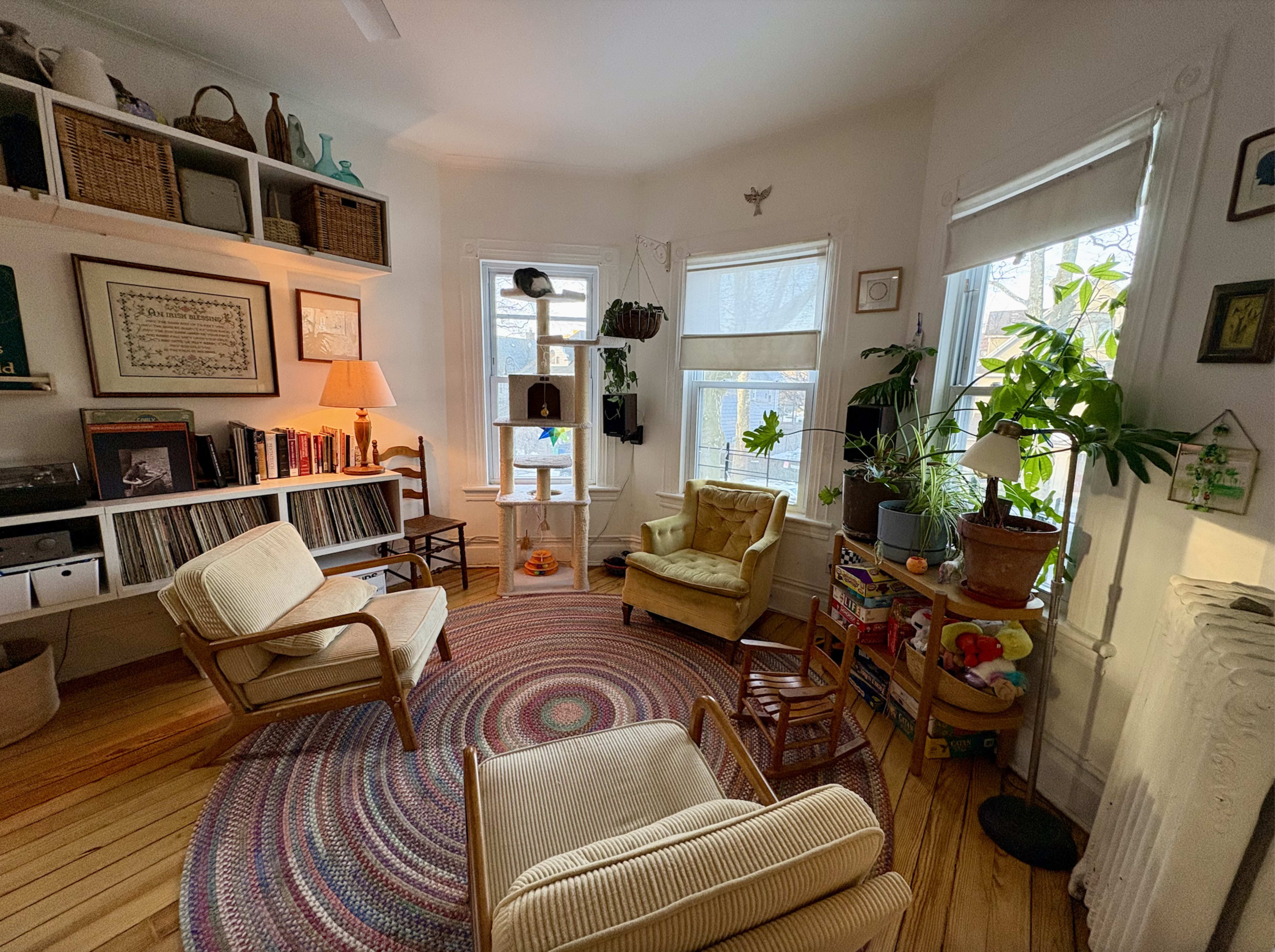 The image shows a cozy room with two armchairs, a round rug, shelves filled with books and decorative items, and several plants near the windows.