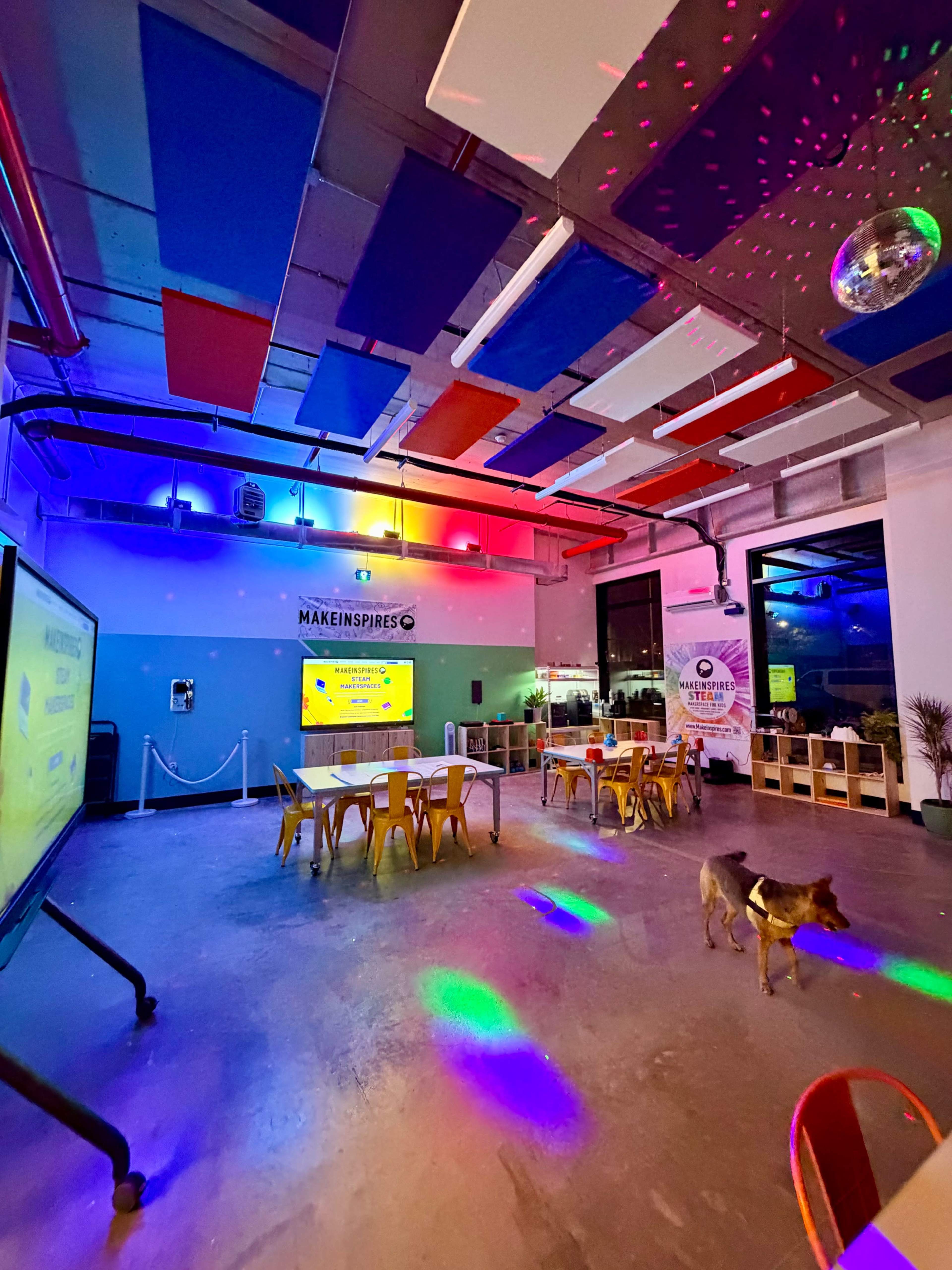 The image shows a brightly lit indoor space with colorful lighting and a disco ball, featuring tables and chairs, along with a dog walking on the floor.