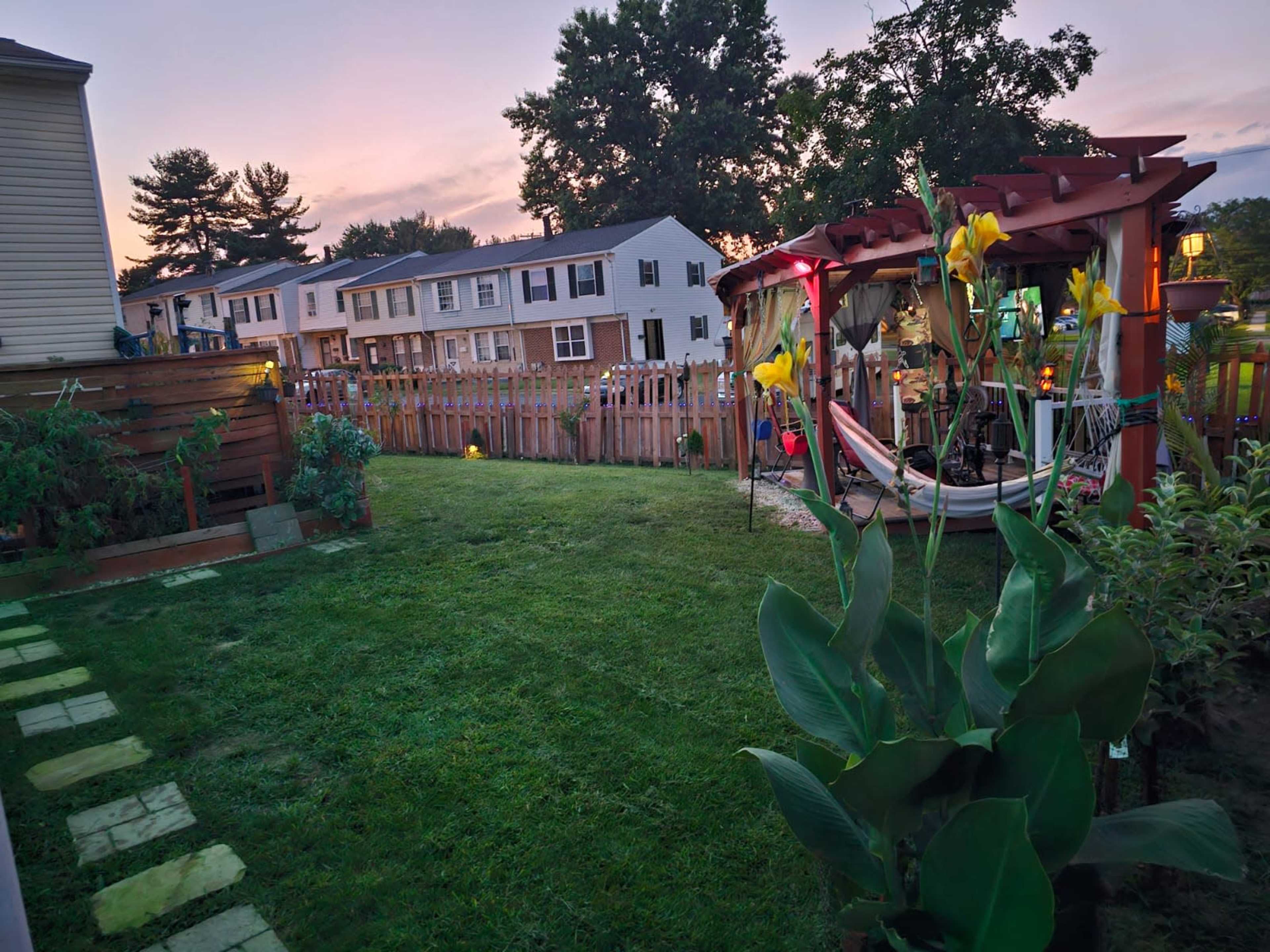 A backyard with lush green grass, a pergola containing a hammock, and a wooden fence enclosing several houses in the background during sunset.