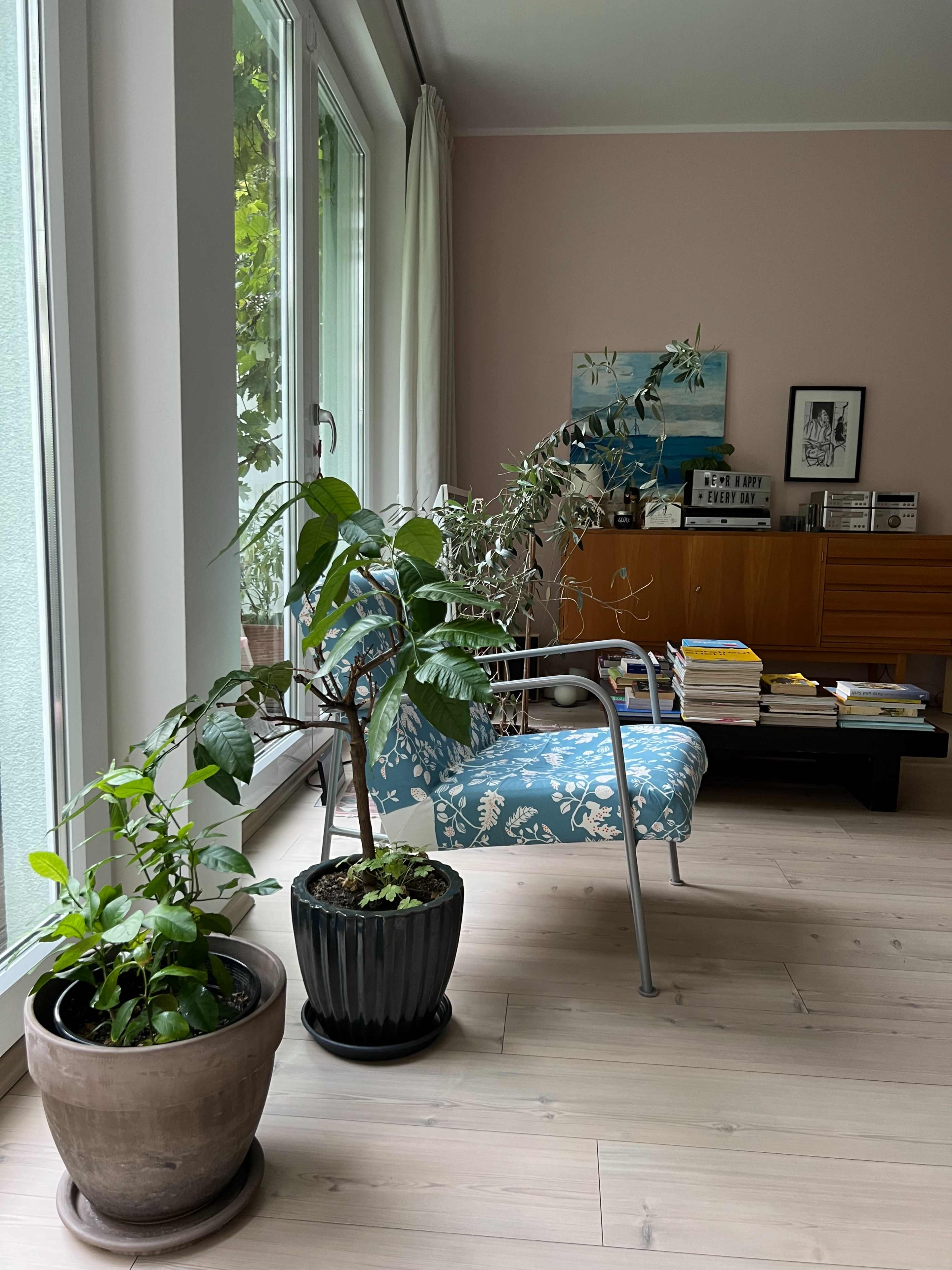 The image shows a light-filled interior with a patterned armchair, two potted plants, and a wooden sideboard filled with books and decorative items.