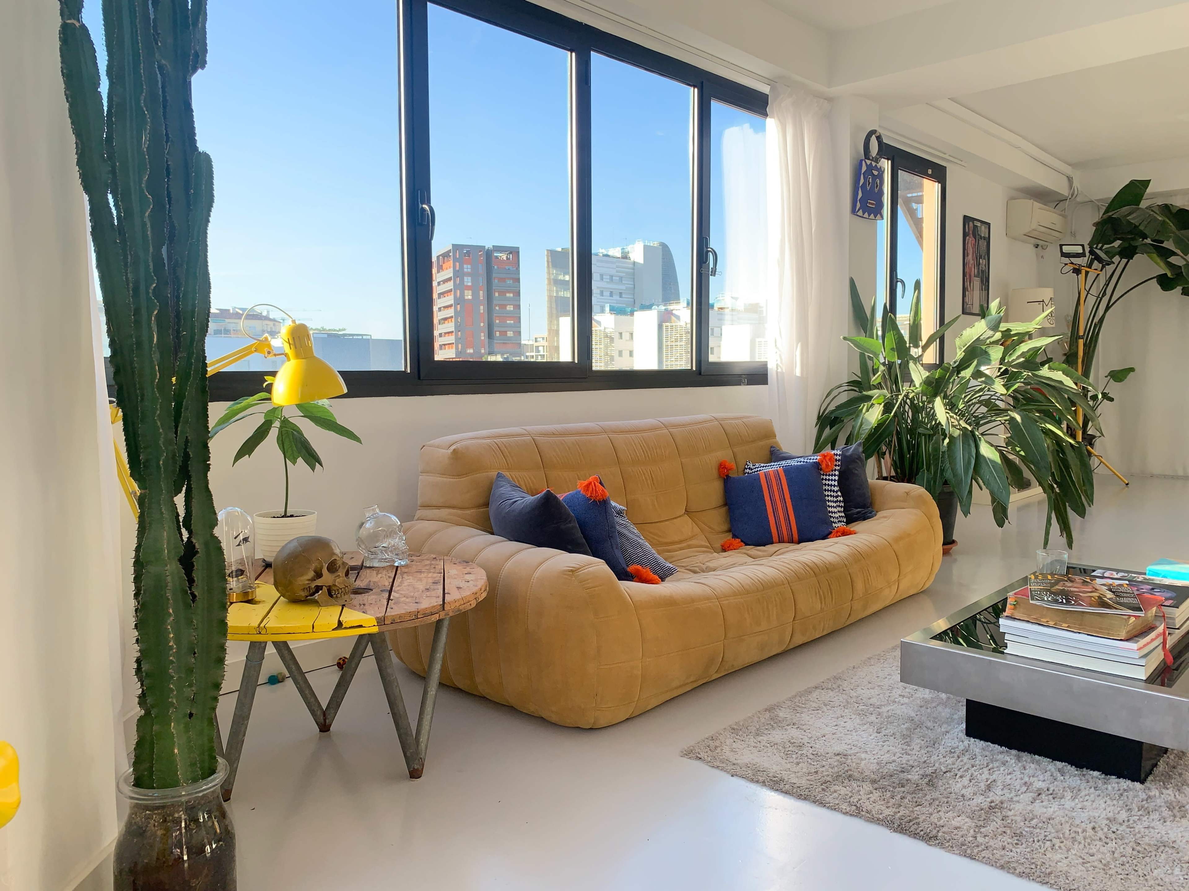 A bright living room featuring a brown couch, a coffee table with books, a potted cactus, and large windows offering a view of the city.