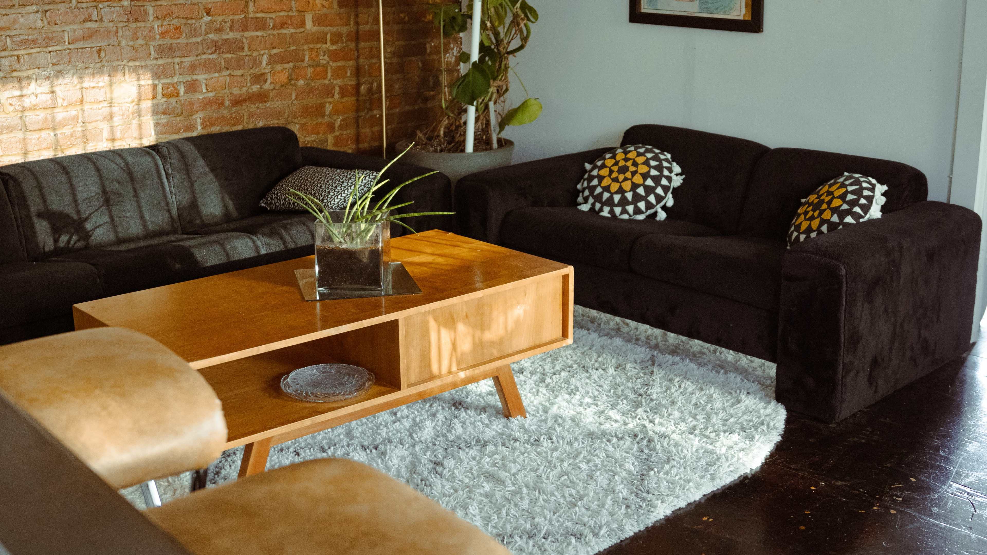 A living room with two dark-colored sofas, a wooden coffee table, a potted plant, and a light rug on a dark floor.