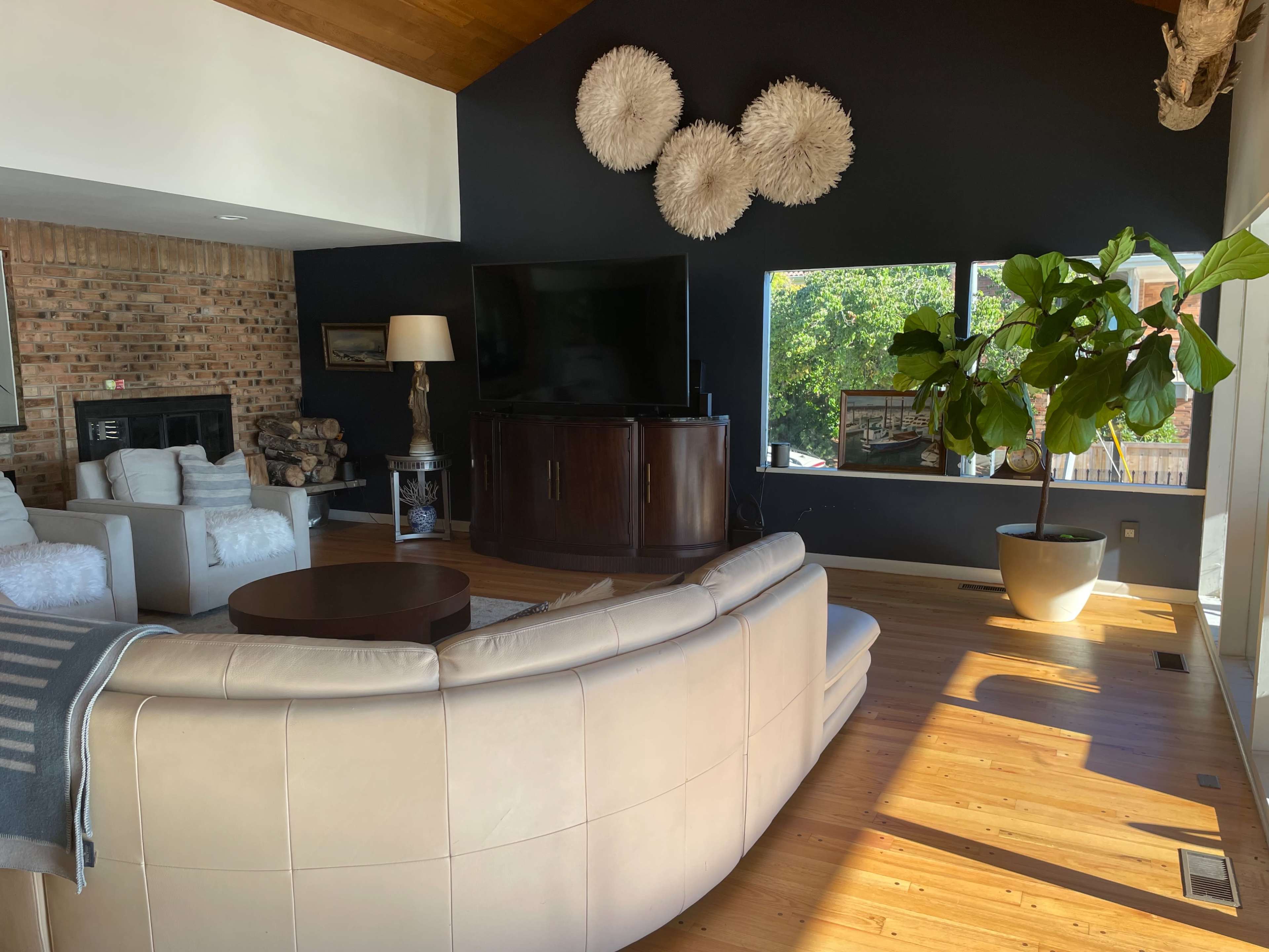 The image shows a modern living room featuring a curved couch, a wooden coffee table, a television, and a large window with a potted plant beside it.