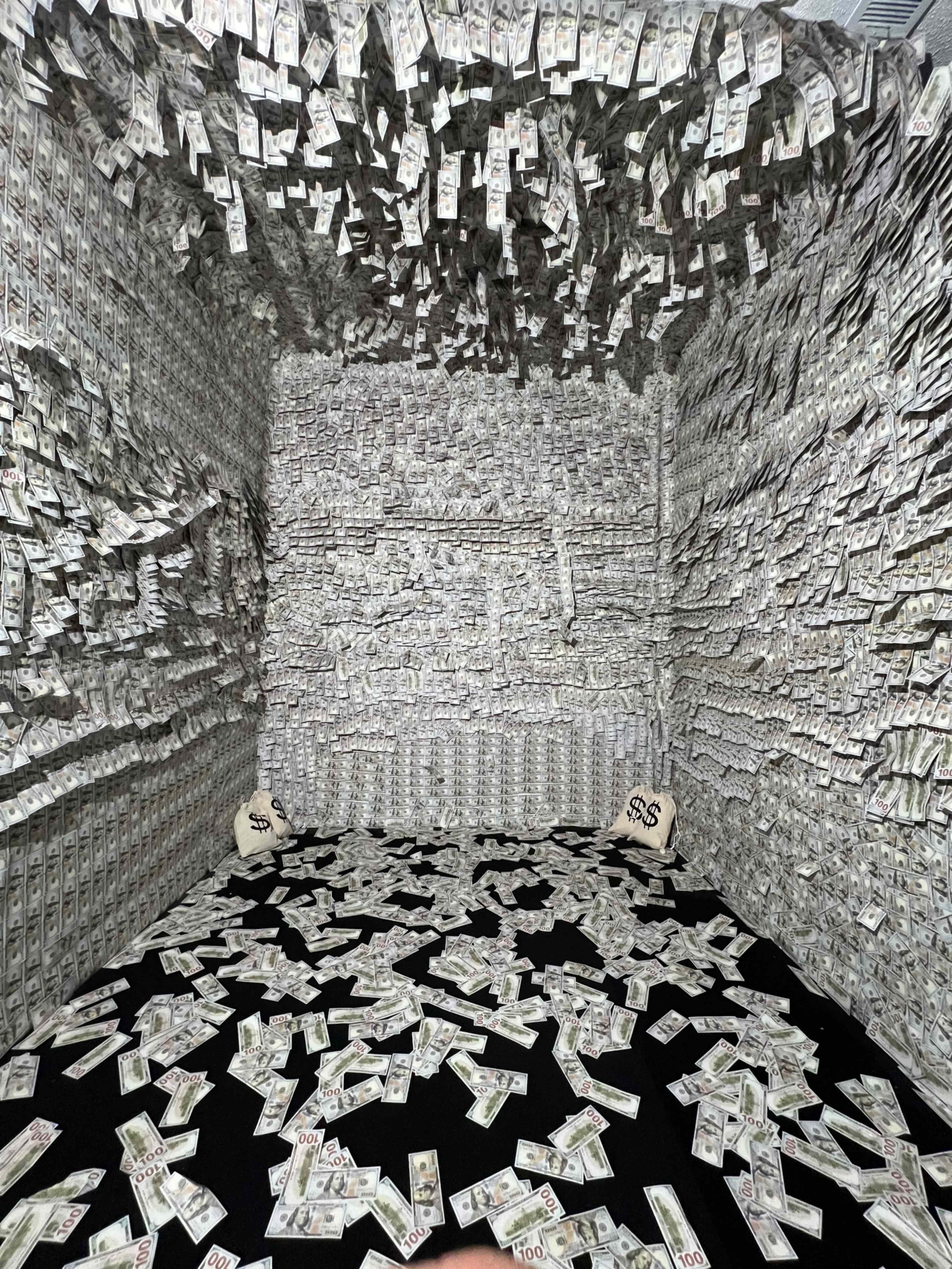 A room filled with walls and a floor covered in stacked and hanging bundles of cash, with two money bags displayed in the center.