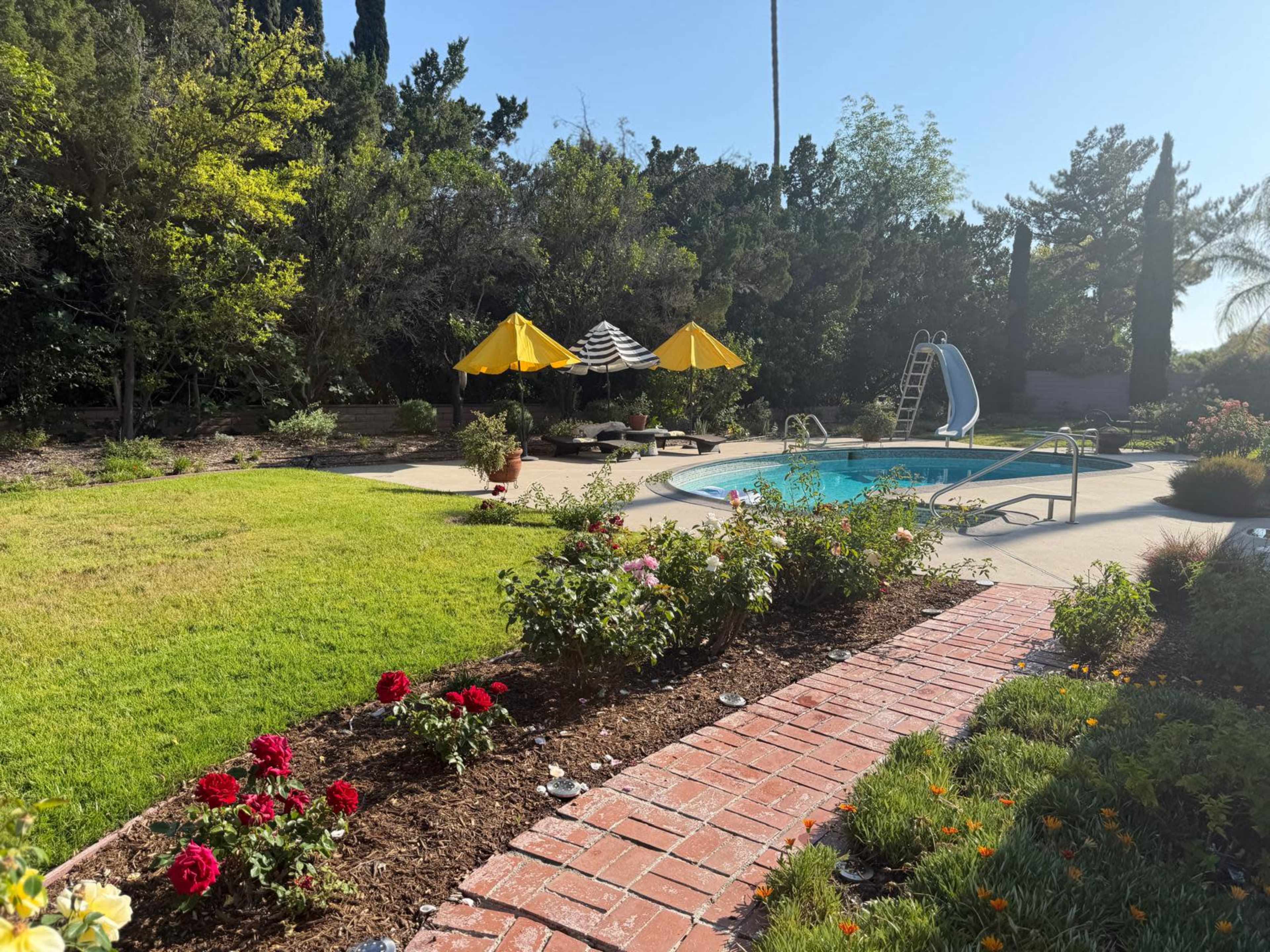 The image shows a backyard with a swimming pool surrounded by green grass, a flower bed, and yellow umbrellas set up nearby.