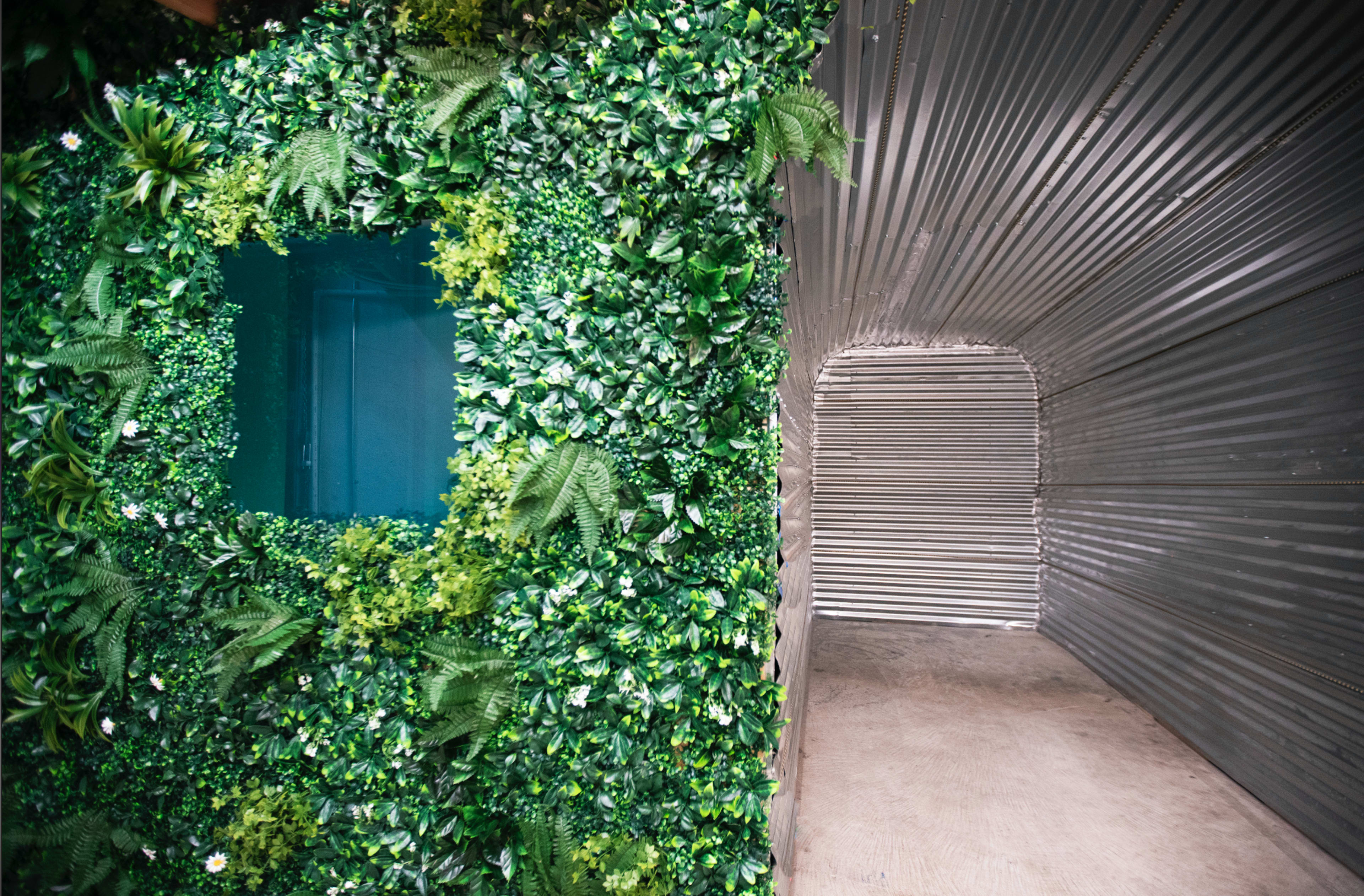 The image shows a wall covered in greenery next to a metallic corrugated tunnel entrance.