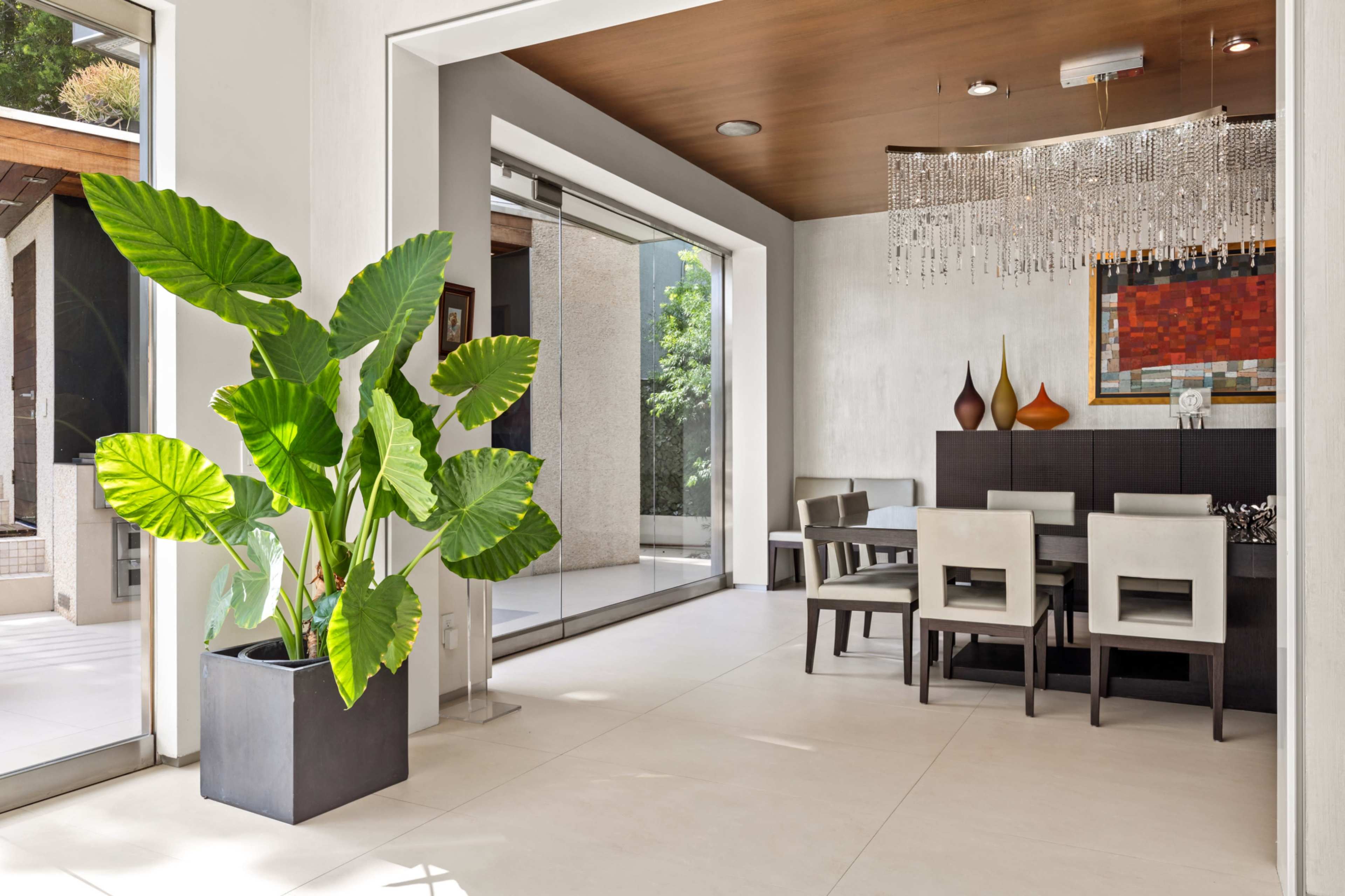 A modern dining area features a rectangular table surrounded by chairs, a large potted plant, and sliding glass doors leading to an outdoor space.
