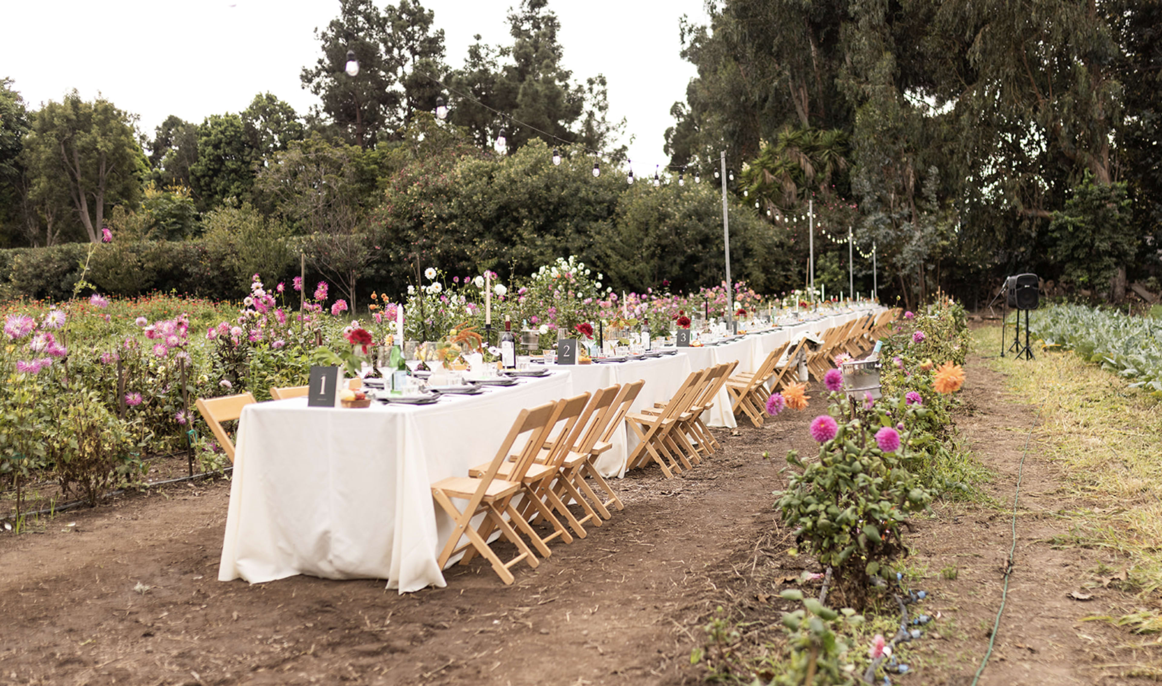 A long table is set with place settings in a garden filled with blooming flowers.