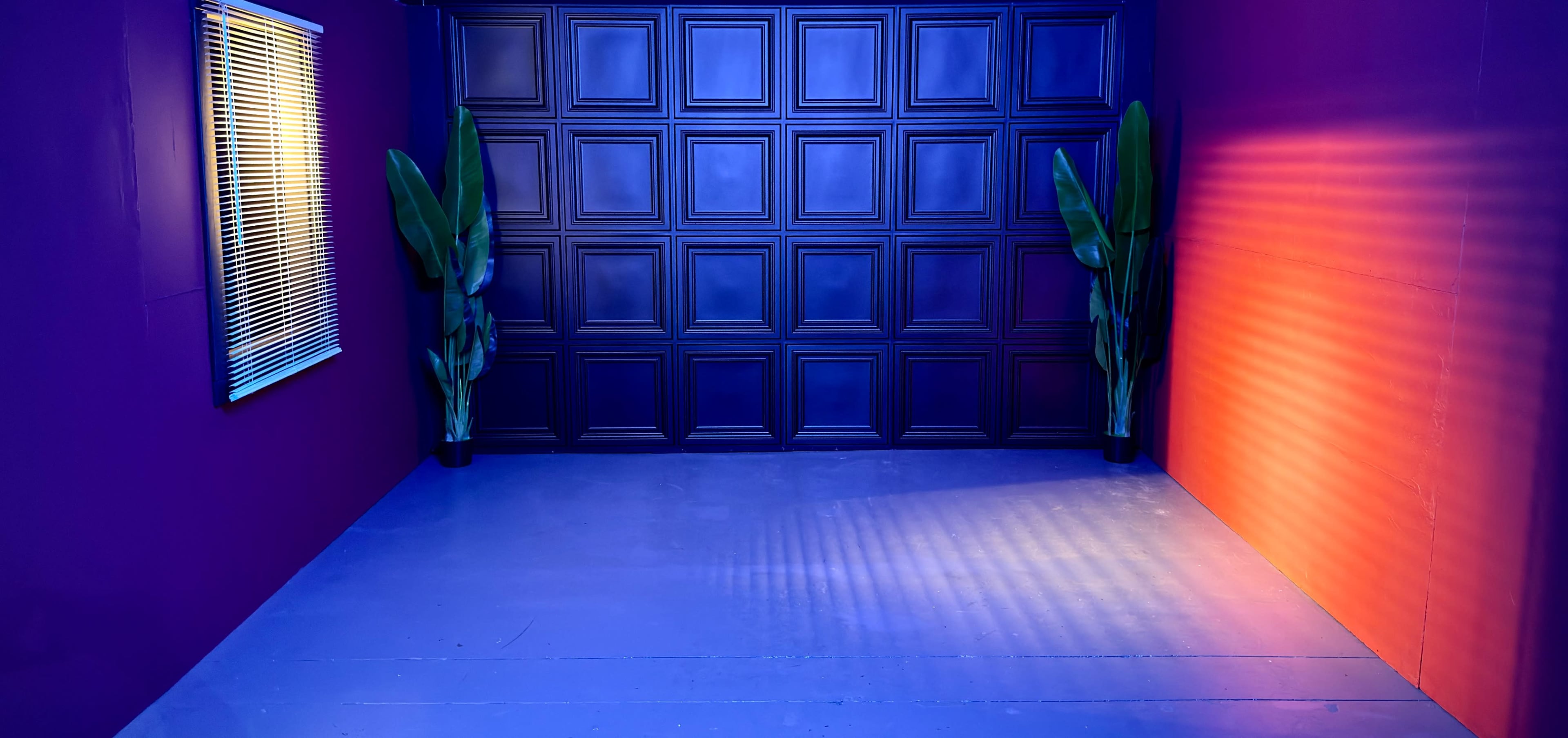 The image shows a brightly lit room with a textured dark wall, two potted plants in the corners, and colored lighting casting shadows on the floor.