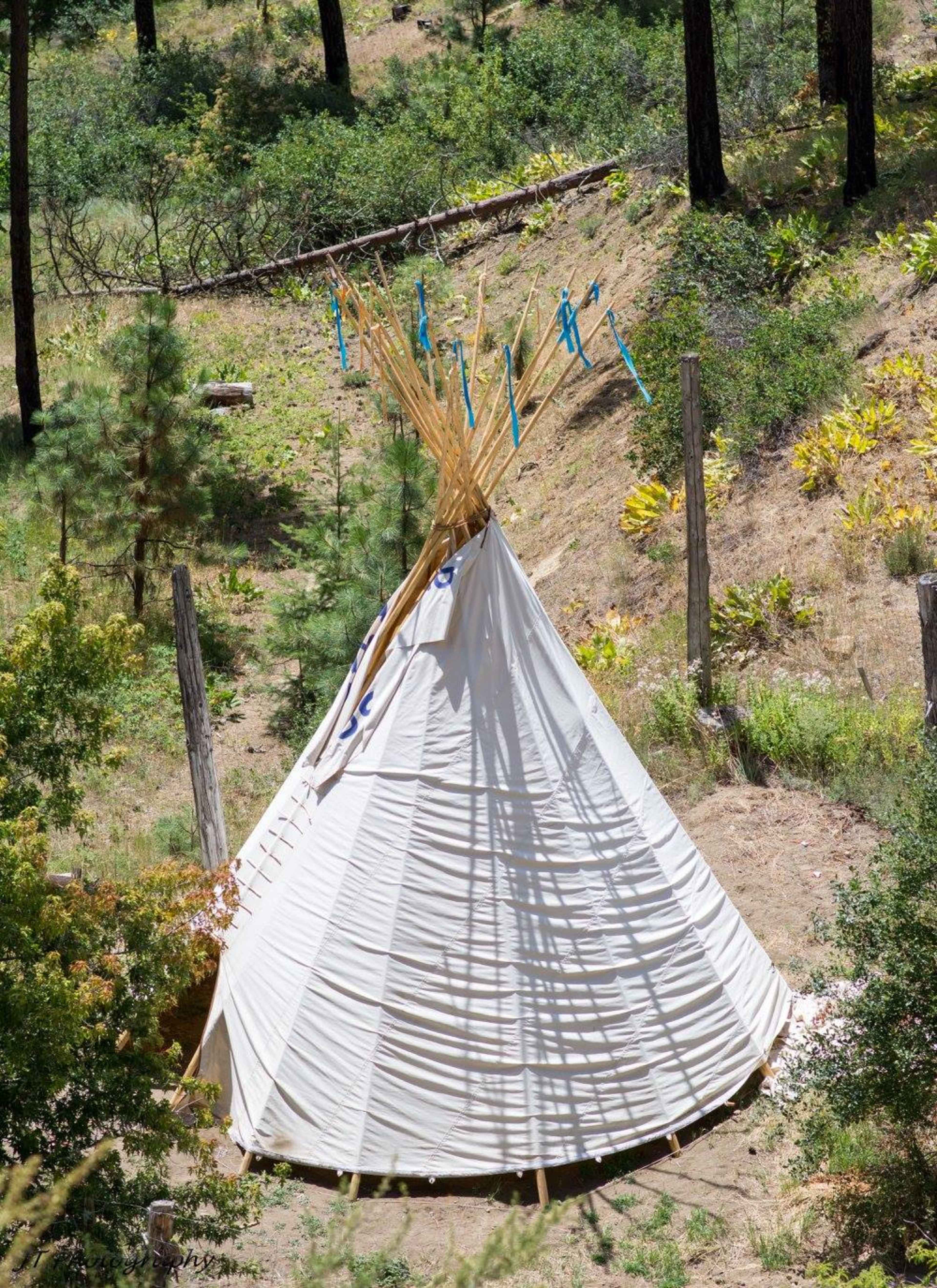 A white teepee is set in a wooded area, surrounded by greenery and trees.