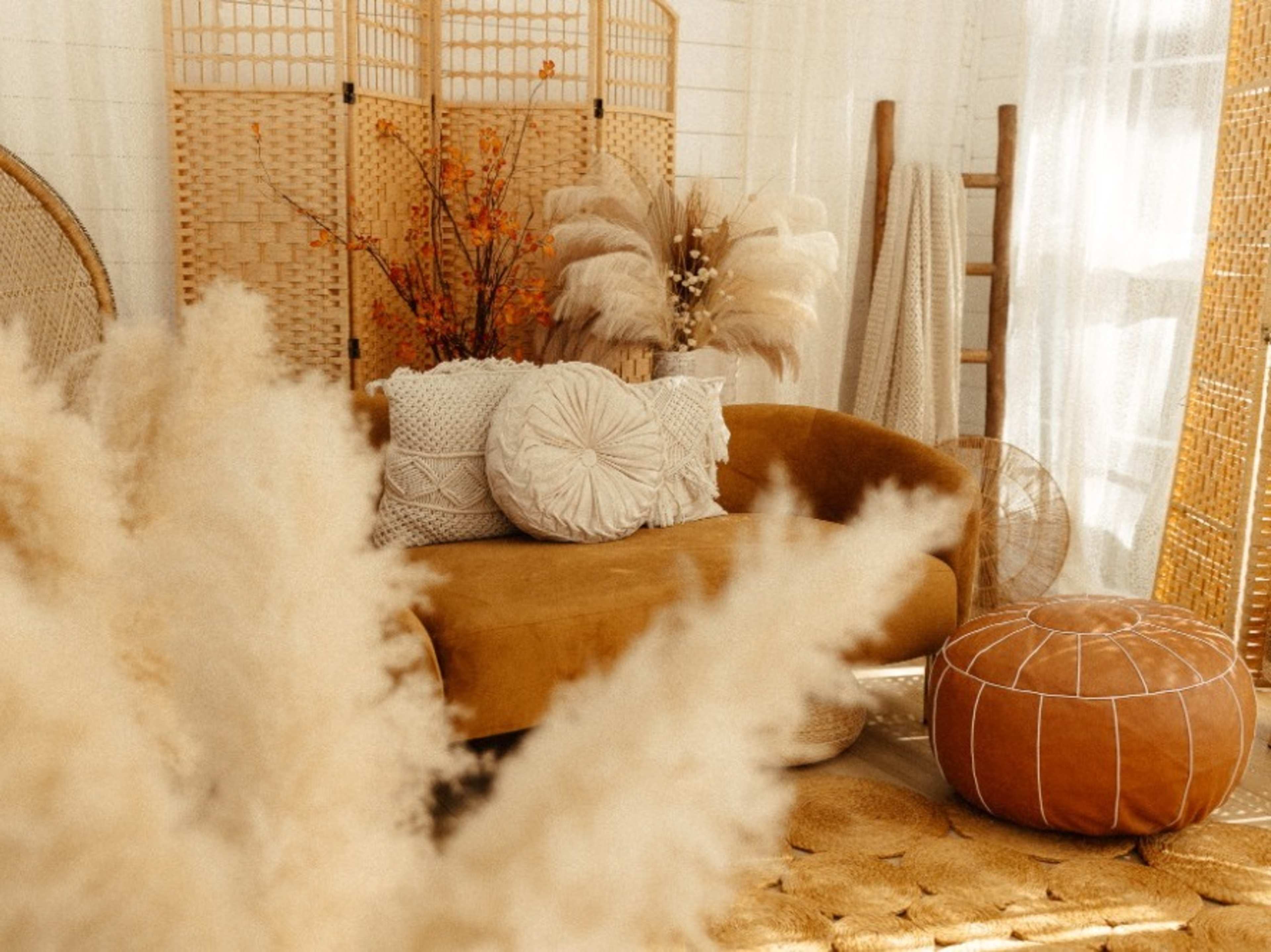 Boho Greenhouse Photo Studio