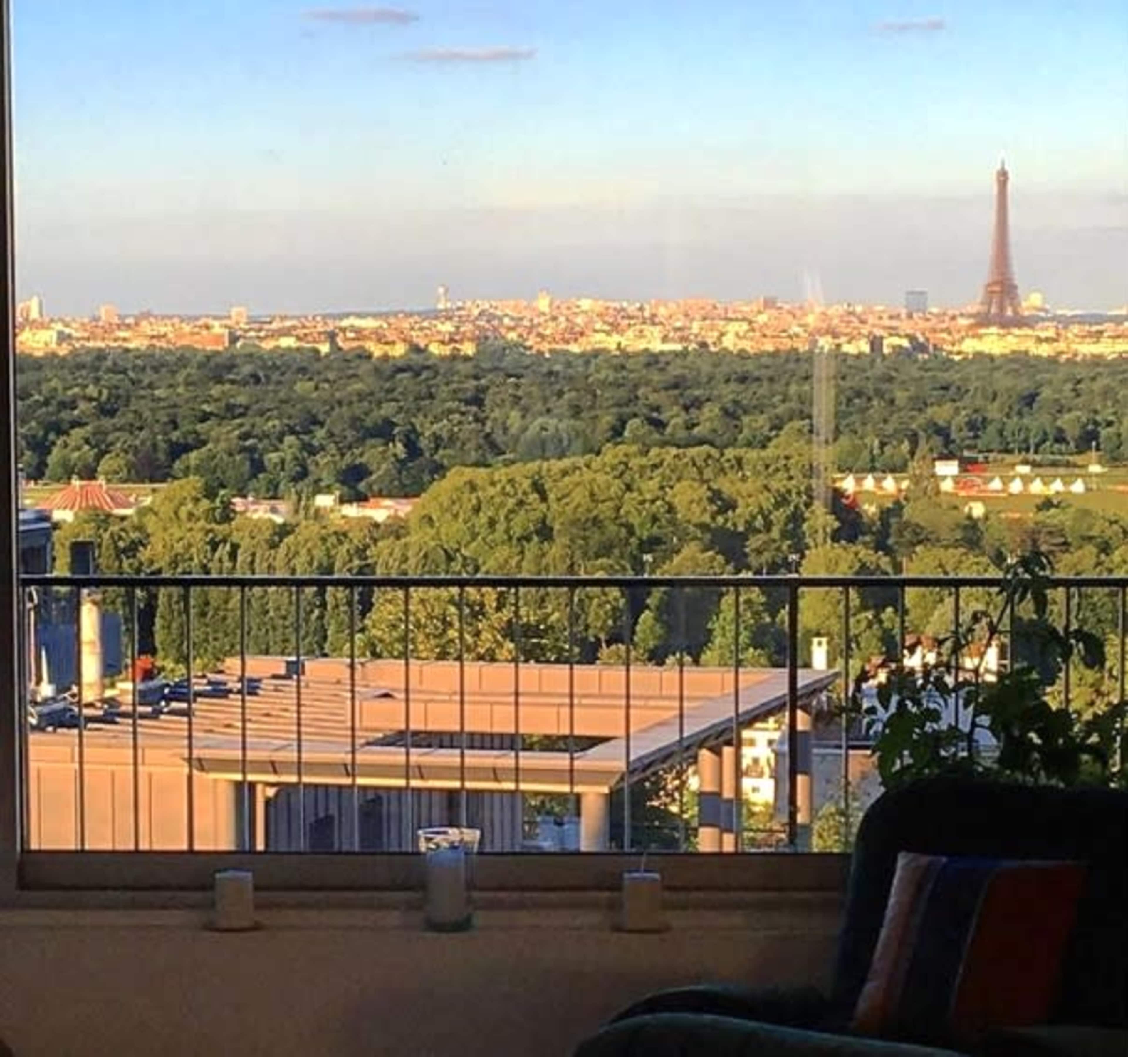 A view of the Eiffel Tower from a window overlooking a green landscape and city skyline.