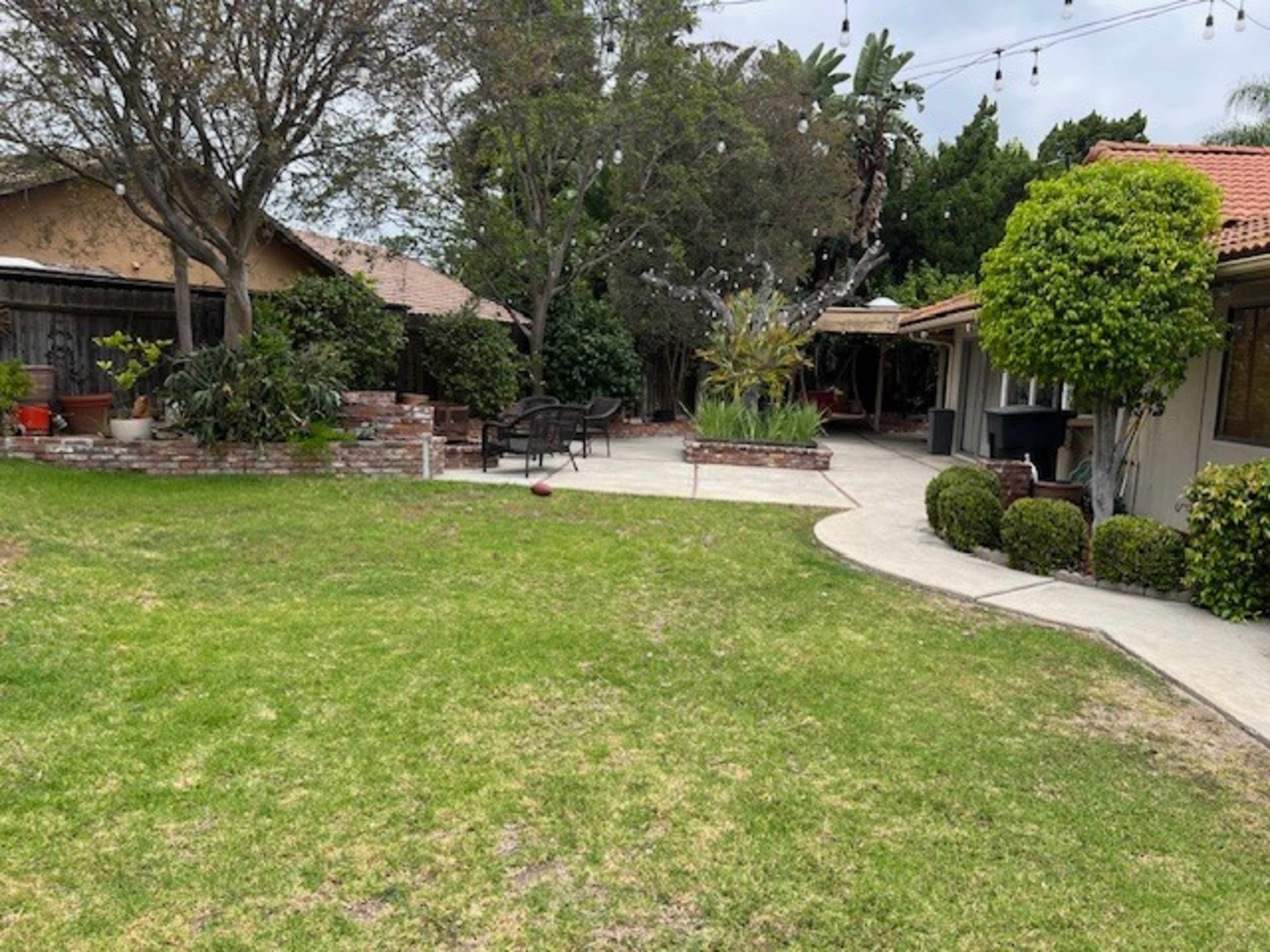 The image shows a backyard with a grassy area, a paved patio, landscaped plants, and two houses in the background.