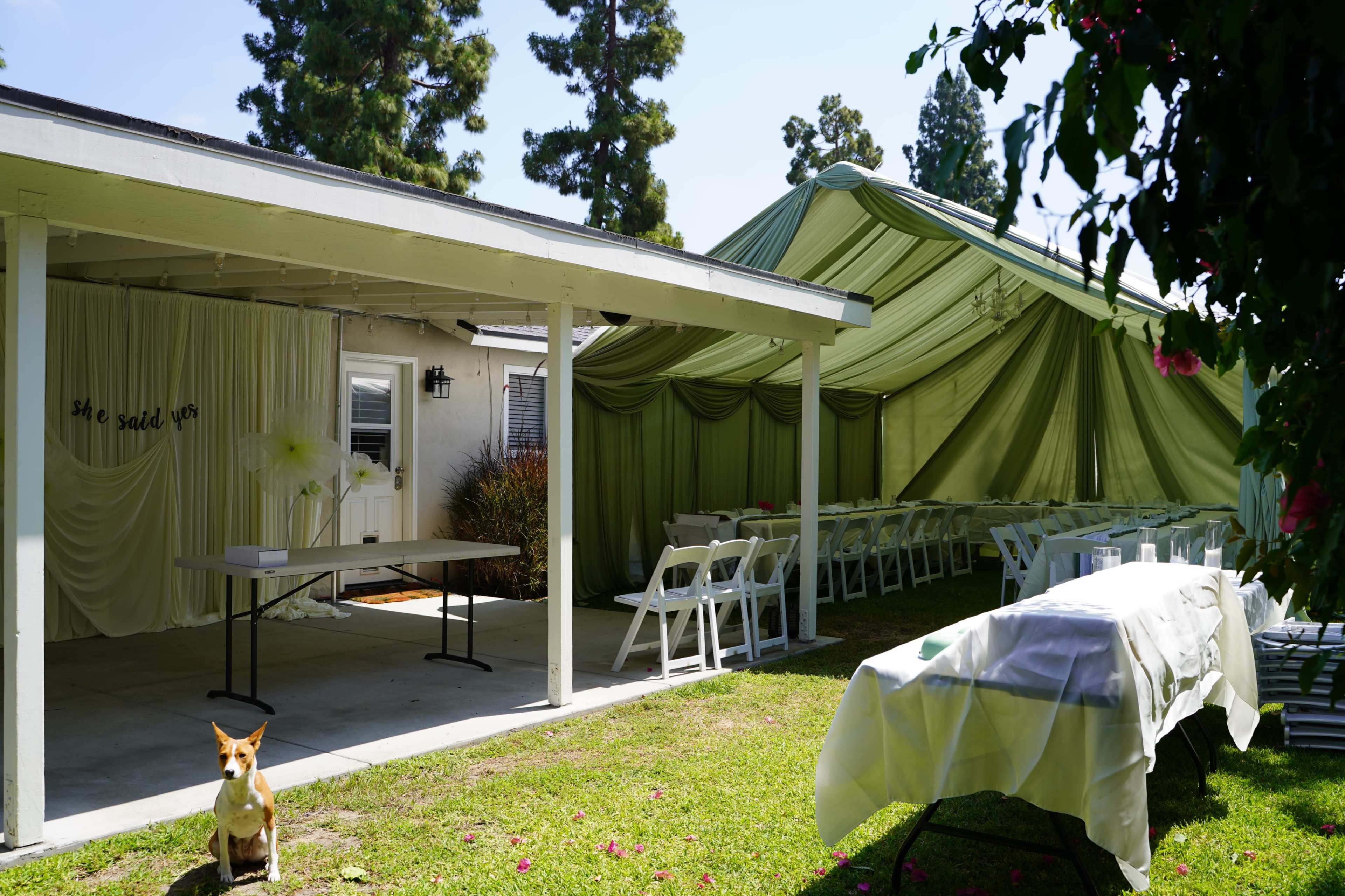 A tented outdoor space is prepared for an event, featuring tables, chairs, and decorations, with a small dog seated on the grass nearby.