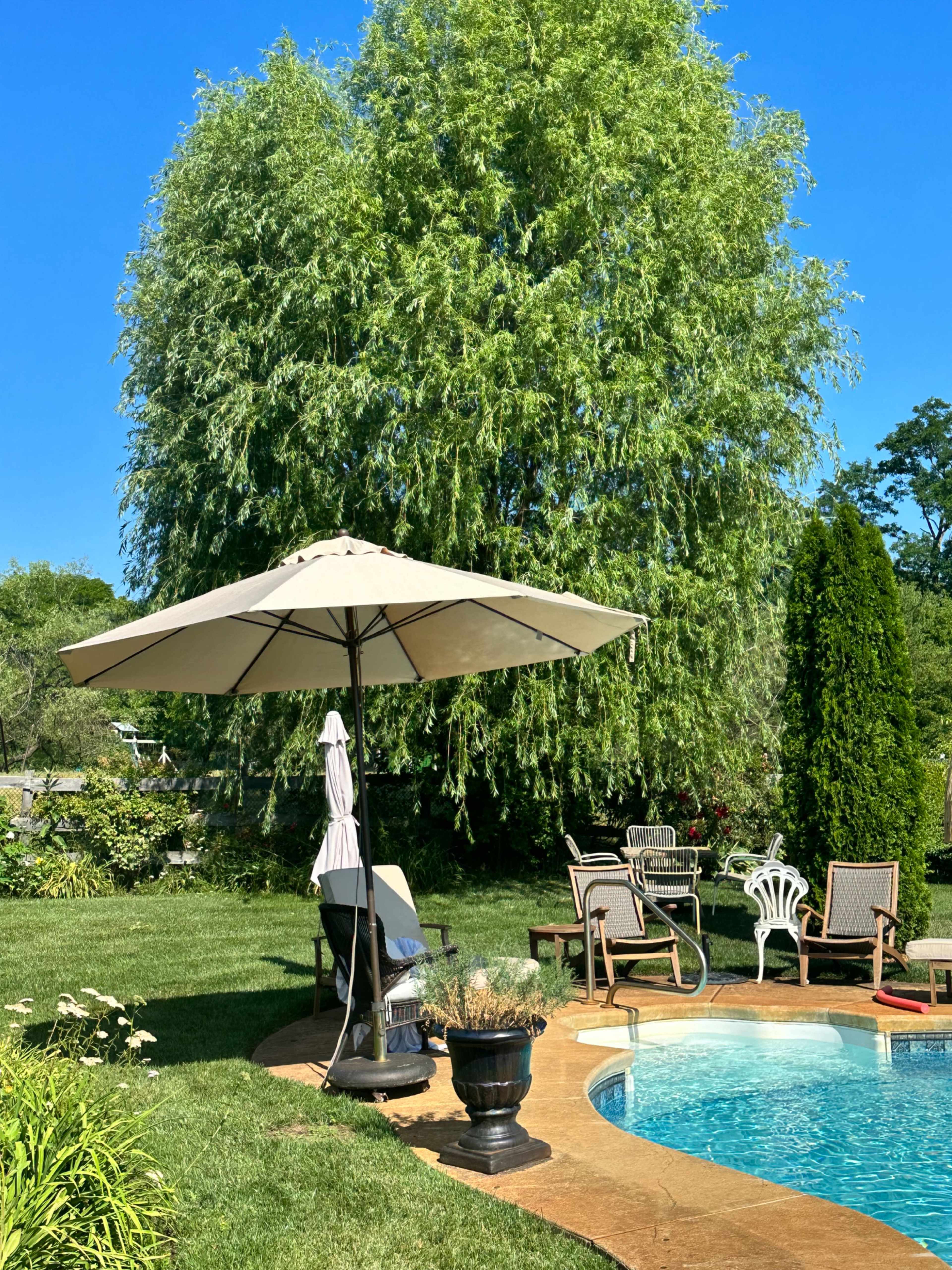 A patio area with a swimming pool, surrounded by lounge chairs and an umbrella, is shaded by a large tree in a well-maintained backyard.