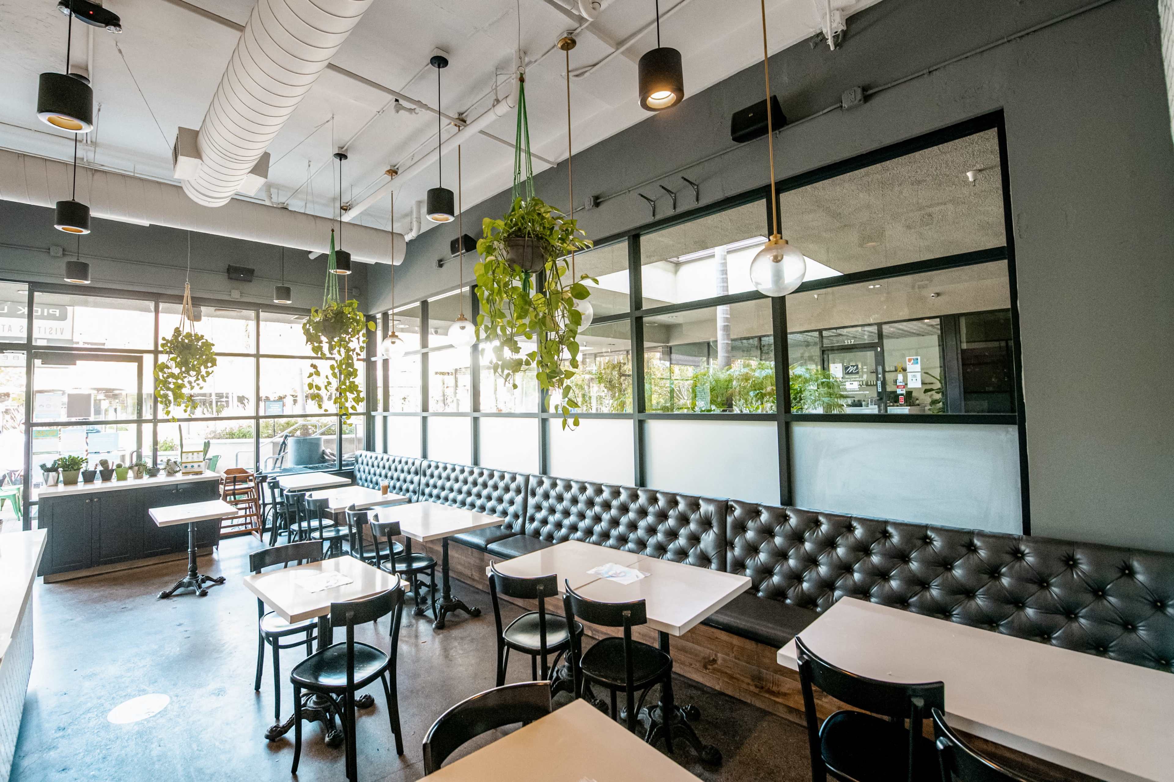 A modern restaurant interior with a row of black padded booths, white tables, and plants hanging from the ceiling near large windows.