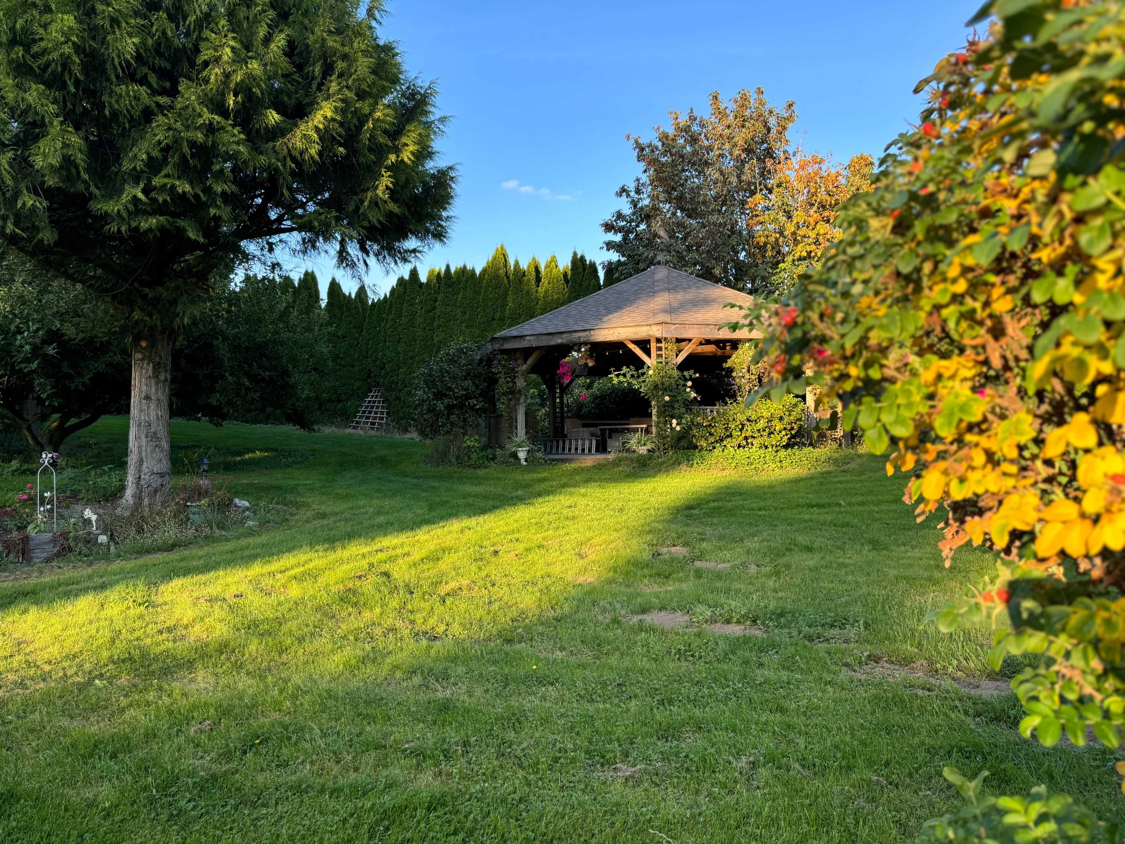Serene Private Garden & Pond Oasis with Rustic Charm Image in Langley, Aldergrove, BC