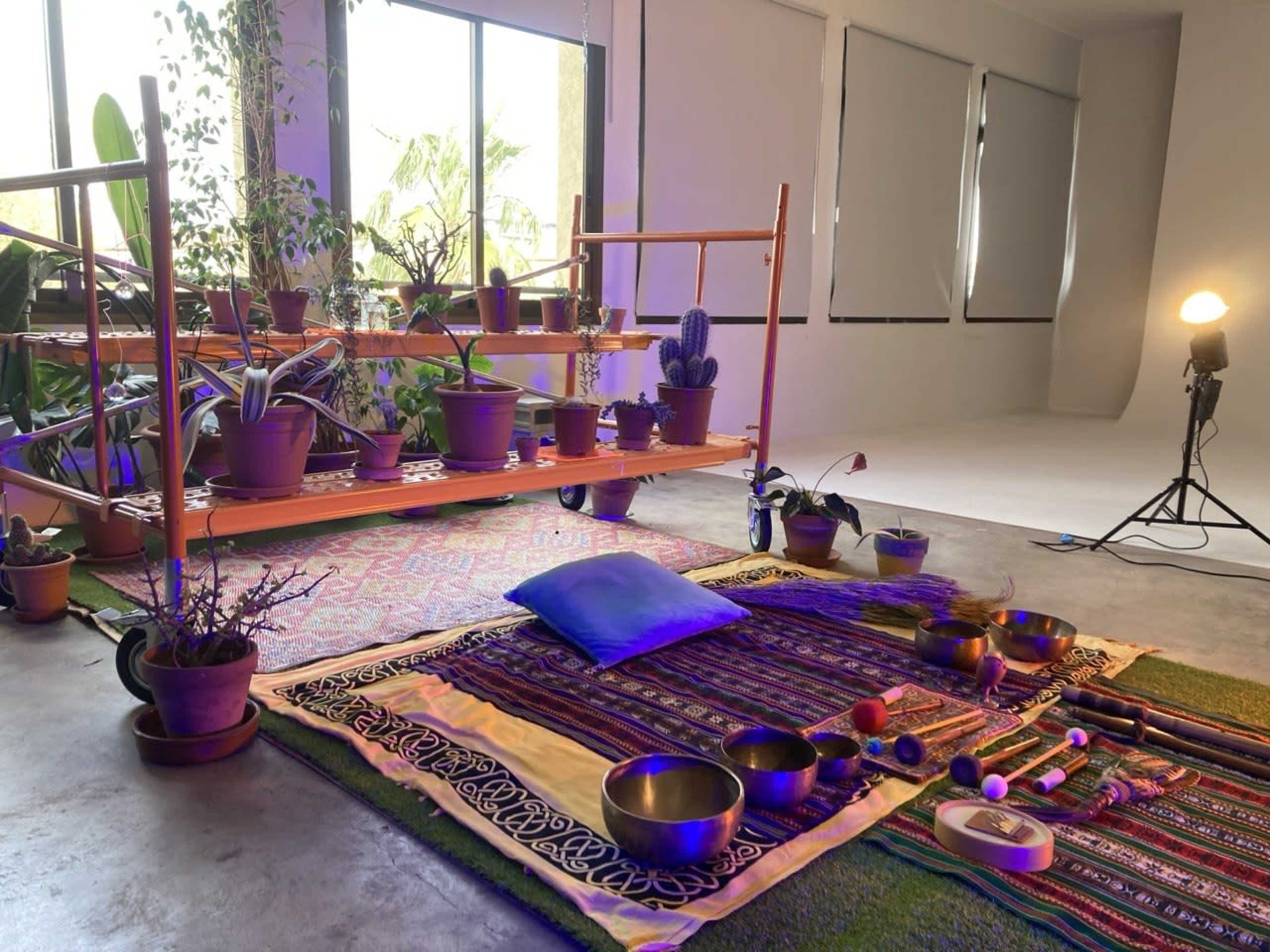 The image shows a serene indoor space featuring a colorful rug setup with meditation bowls, musical instruments, and various potted plants arranged on a wooden shelf.