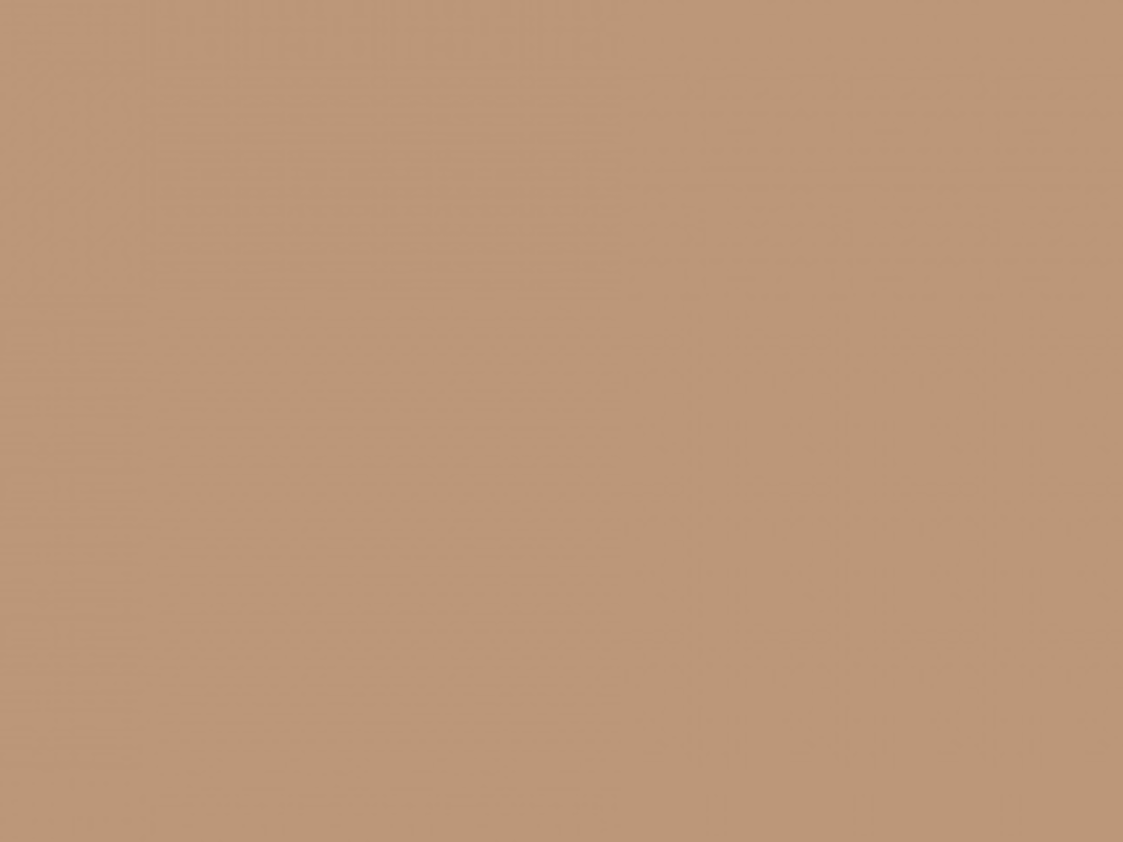Mocha Seamless Backdrop Setup